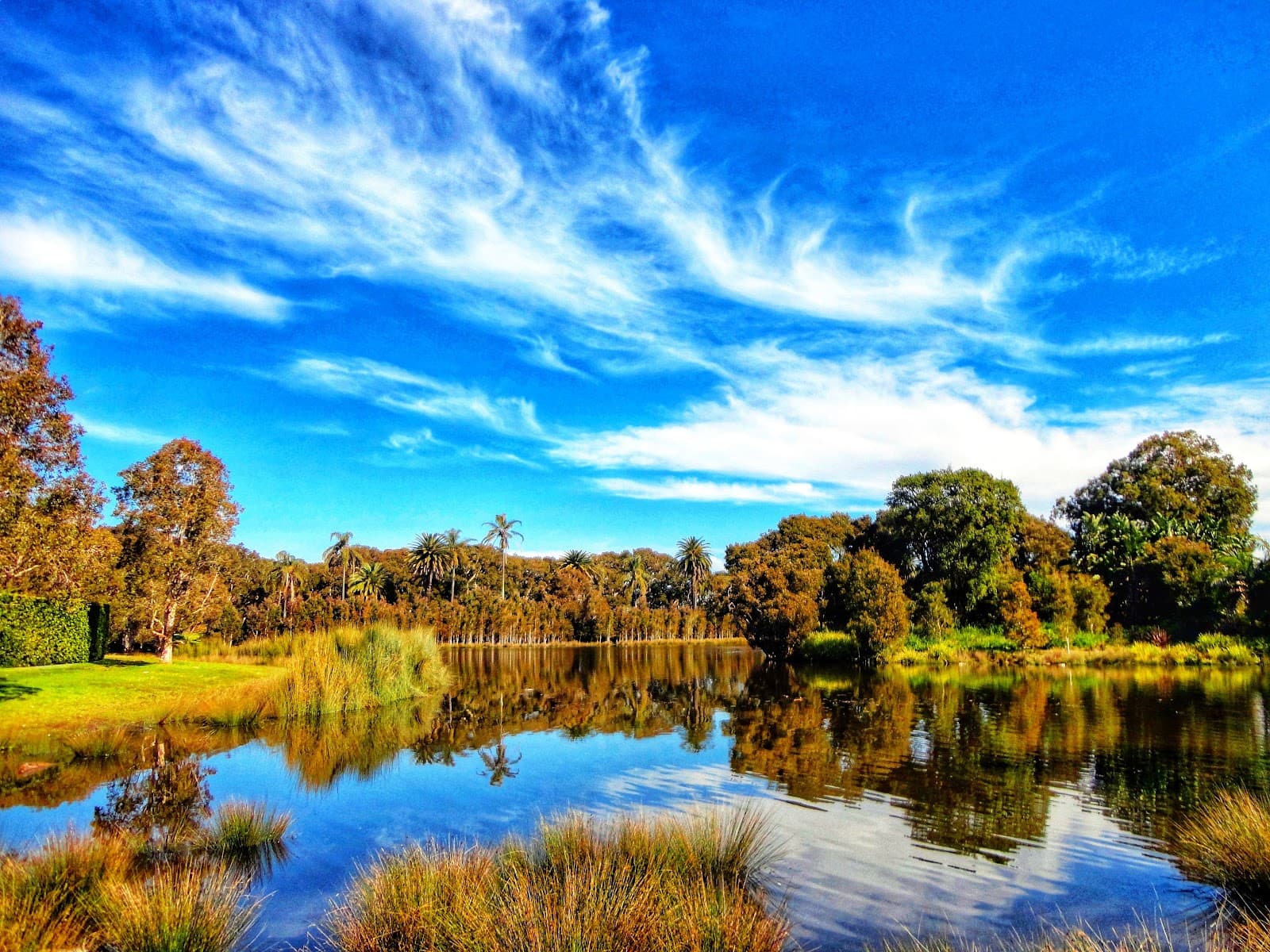 Centennial Park — Paddington, Sydney