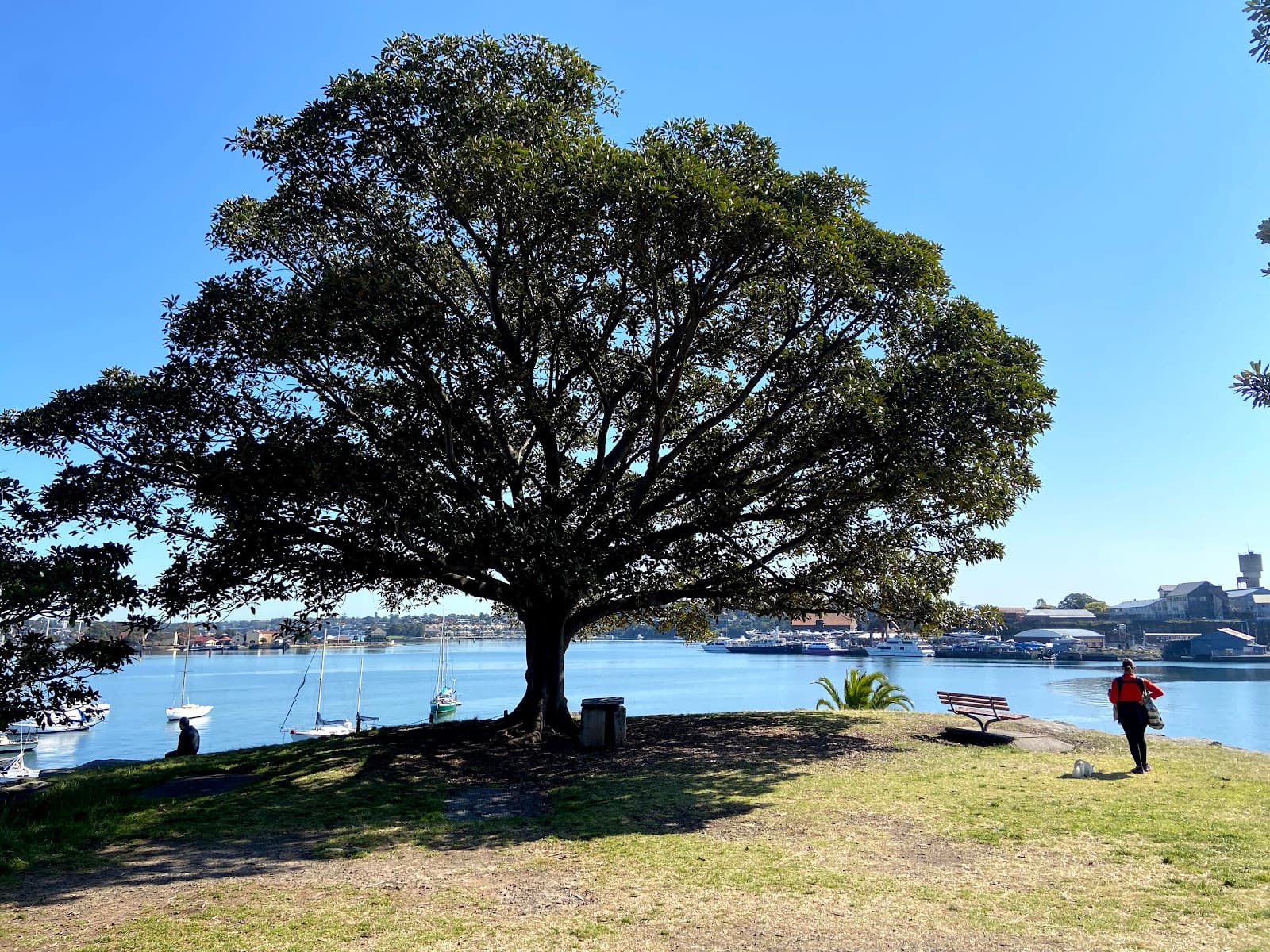 Elkington Park — Balmain, Sydney