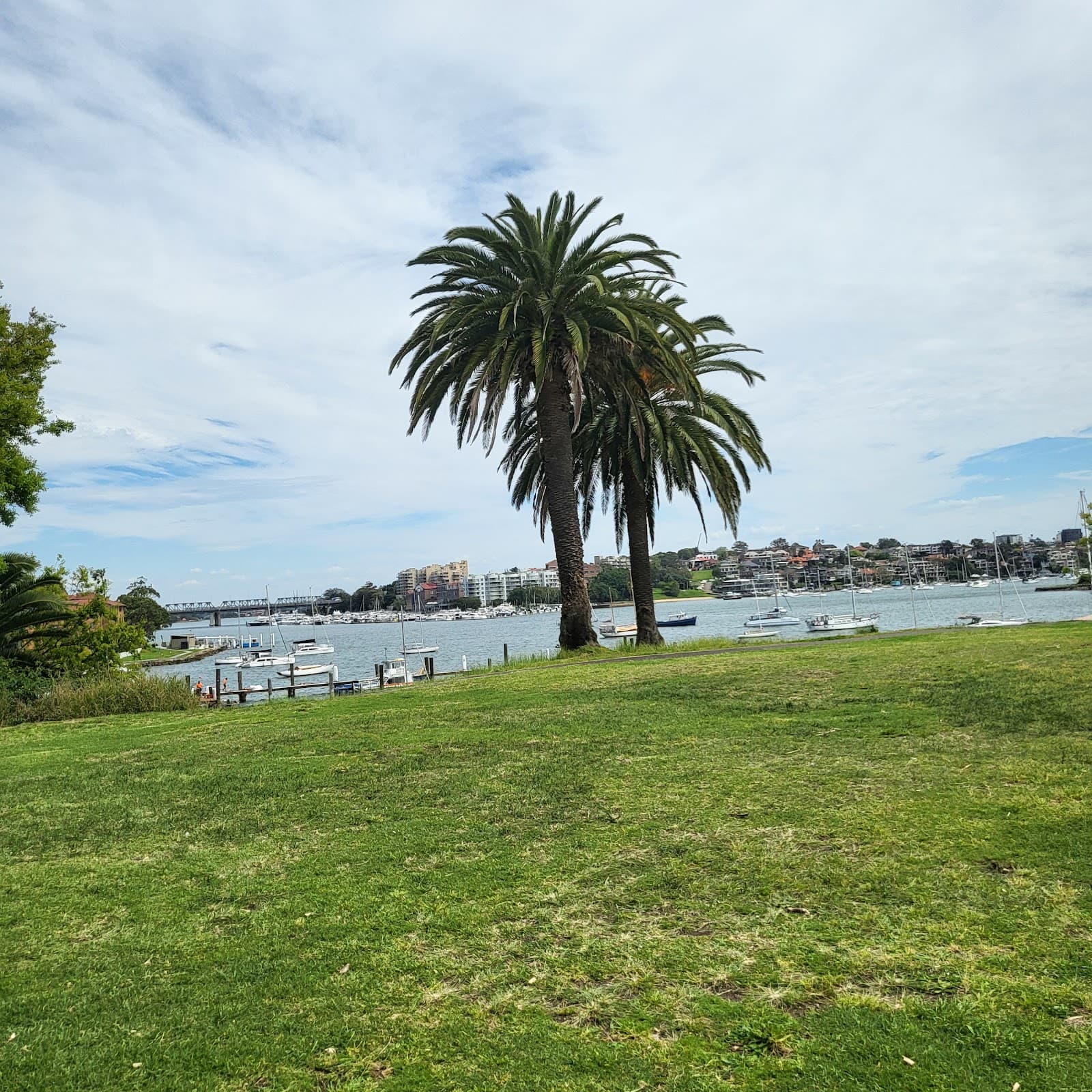 Elkington Park — Balmain, Sydney