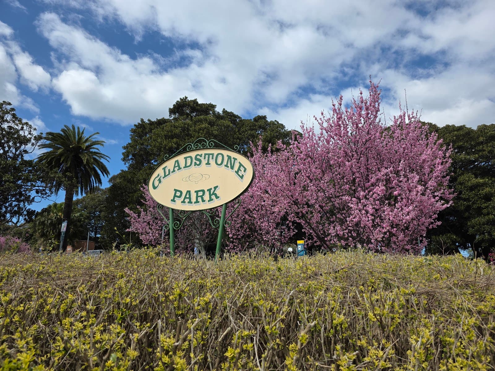 Gladstone Park — Balmain, Sydney
