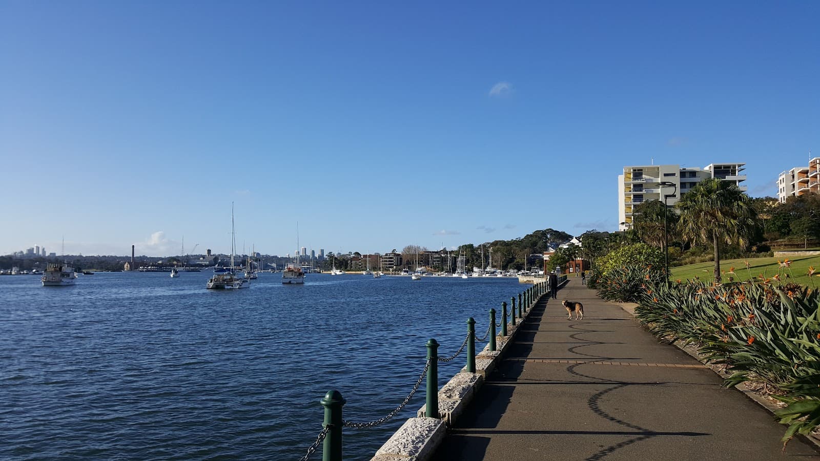 Bridgewater Park — Balmain, Sydney