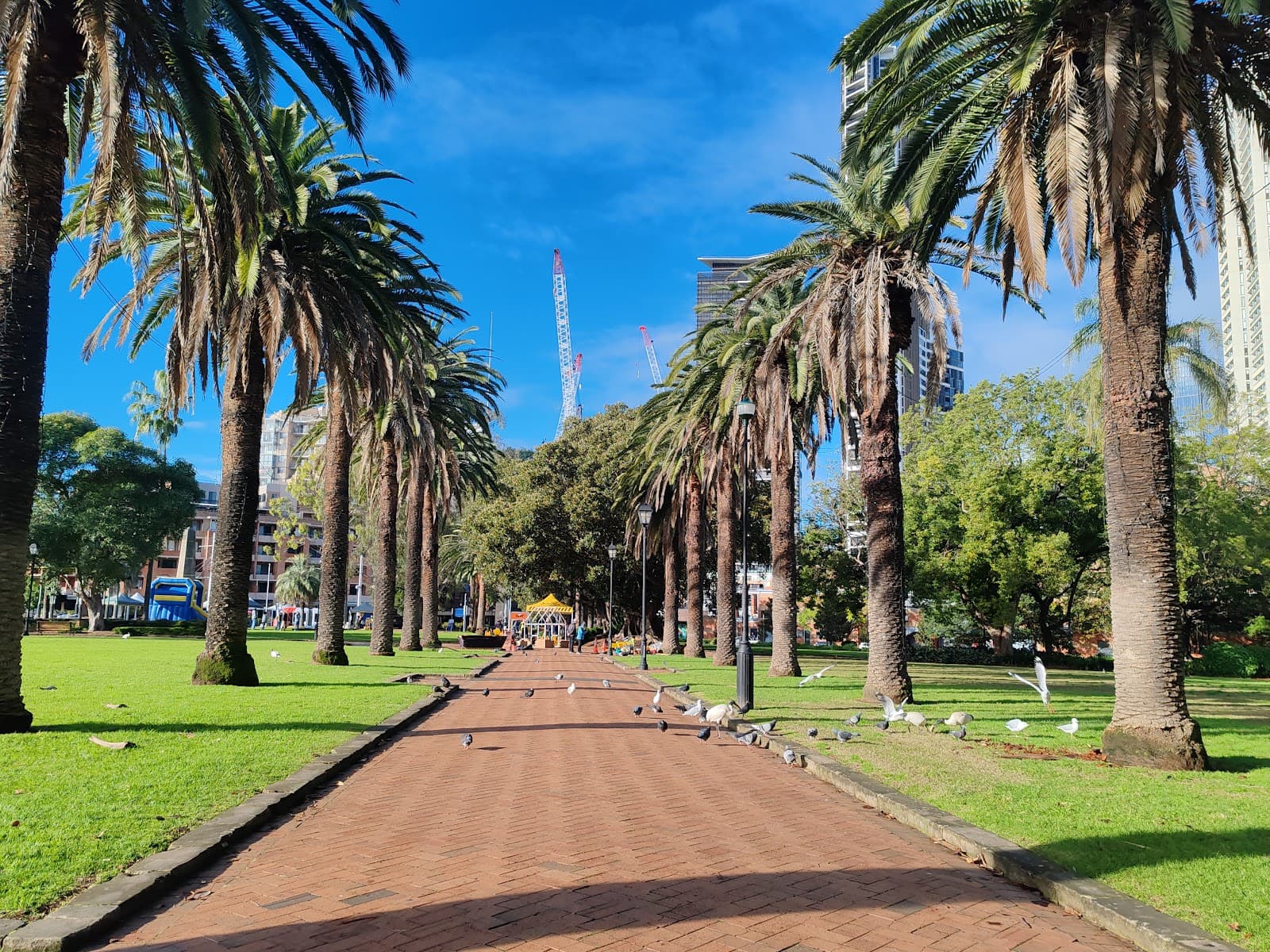 Prince Alfred Square — Parramatta, Sydney