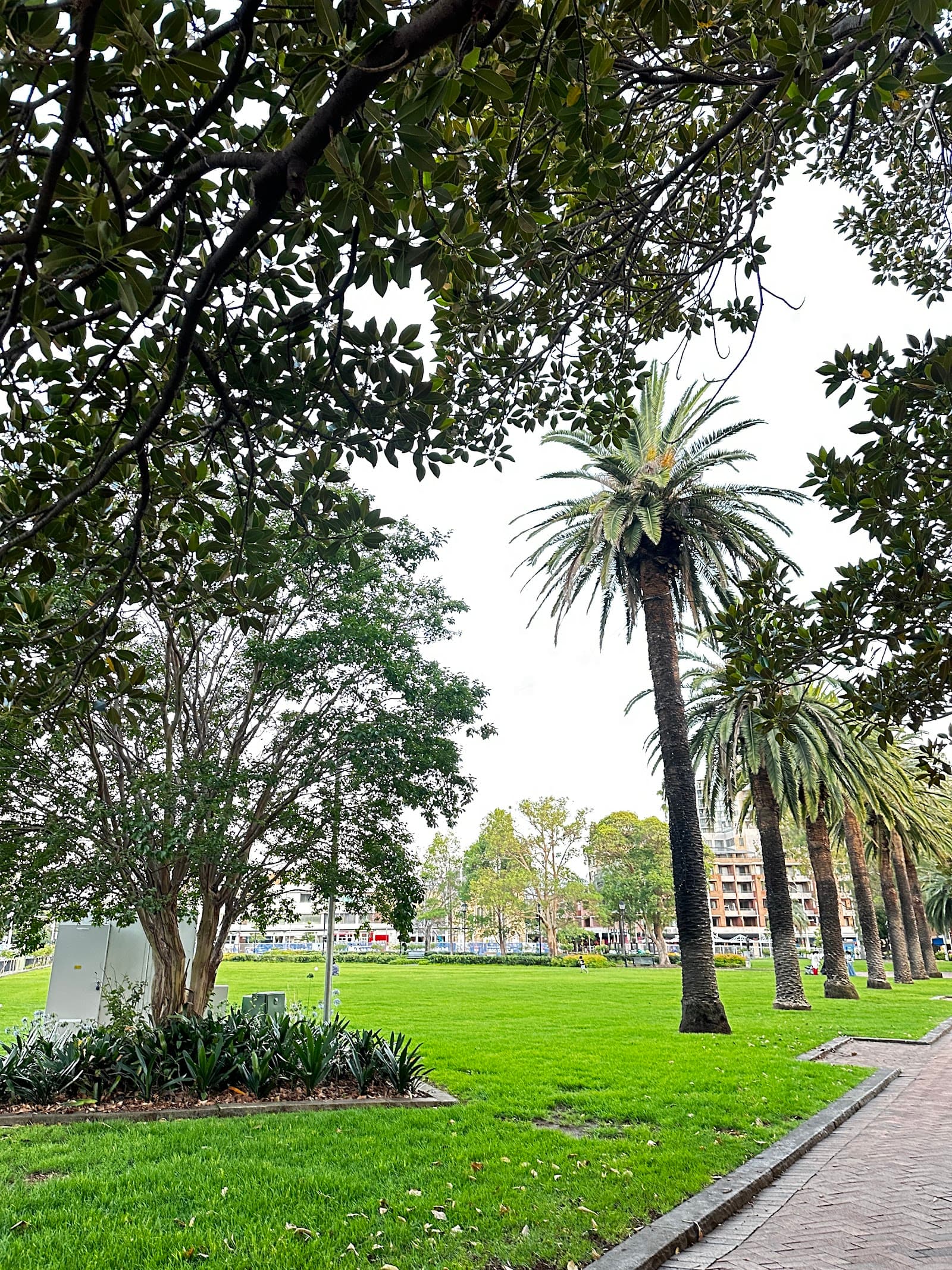 Prince Alfred Square — Parramatta, Sydney