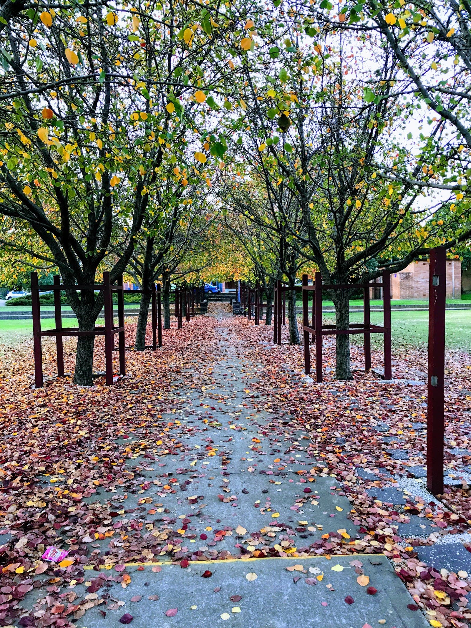 Sherwin Park — Parramatta, Sydney