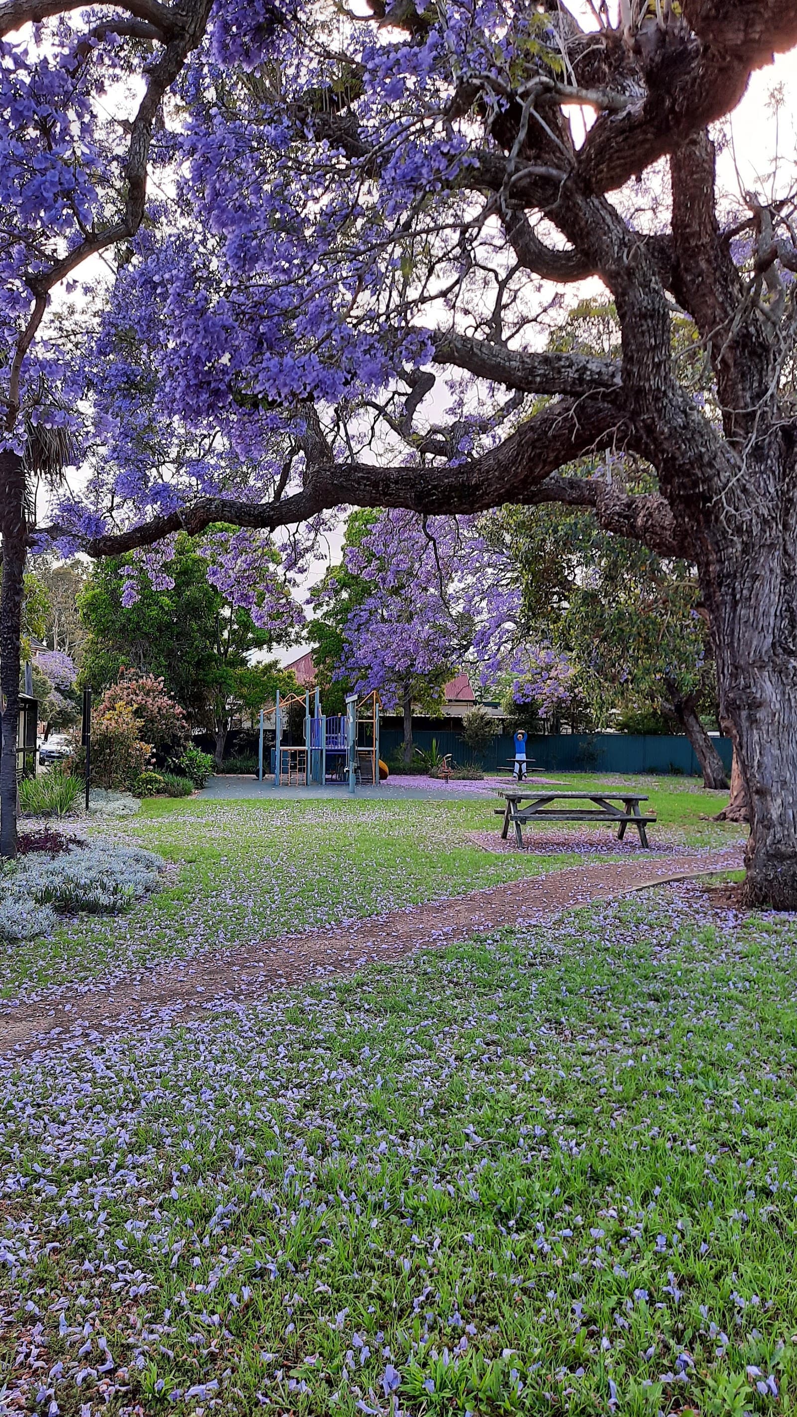 Noller Park — Parramatta, Sydney