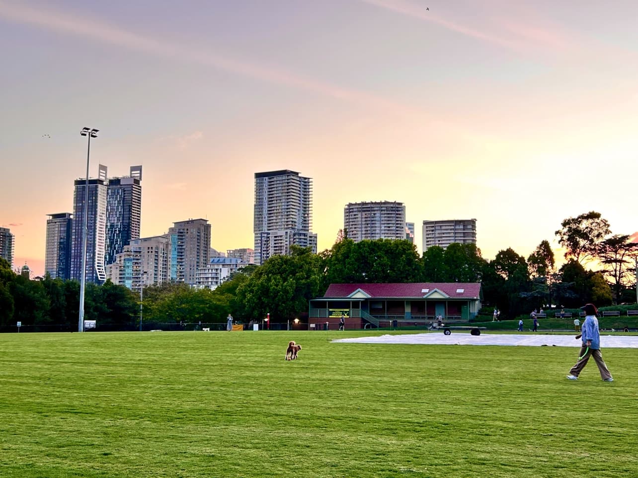 Beauchamp Park — Chatswood, Sydney
