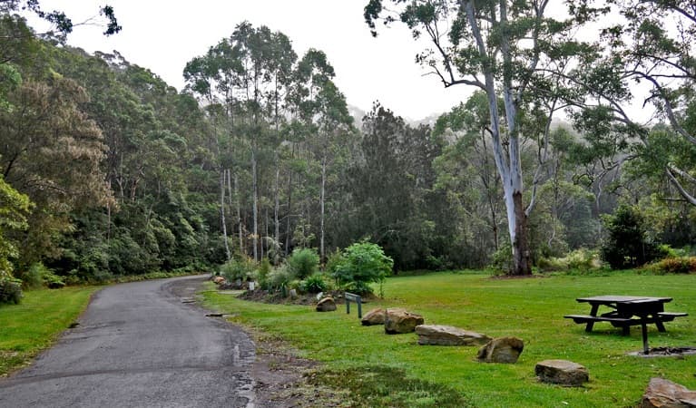 Lane Cove National Park — Chatswood, Sydney