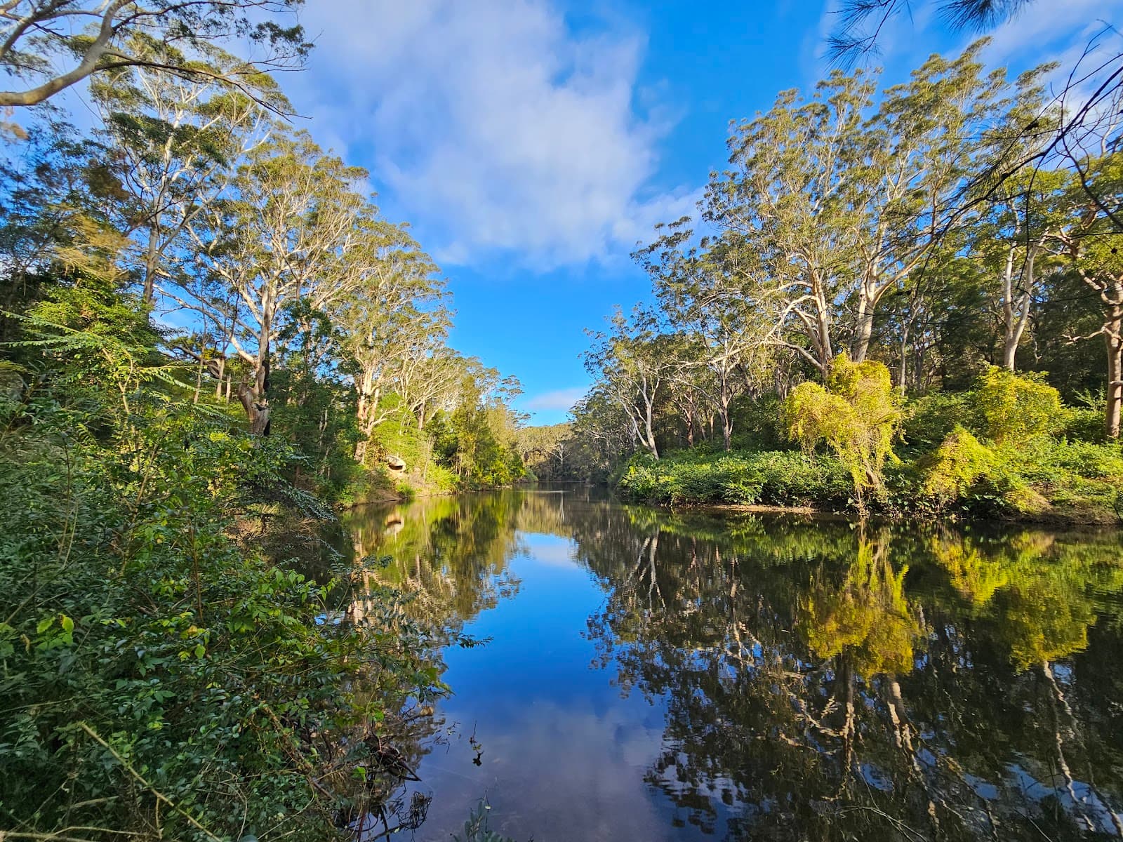 Lane Cove National Park — Chatswood, Sydney
