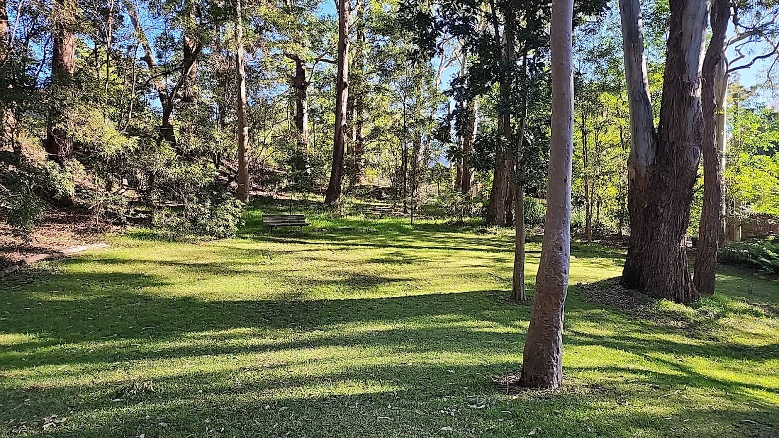 Anglo Park — Chatswood, Sydney