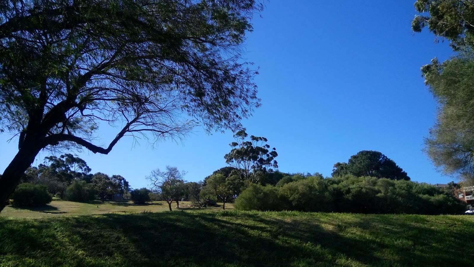 Bangor Park — Coogee, Sydney
