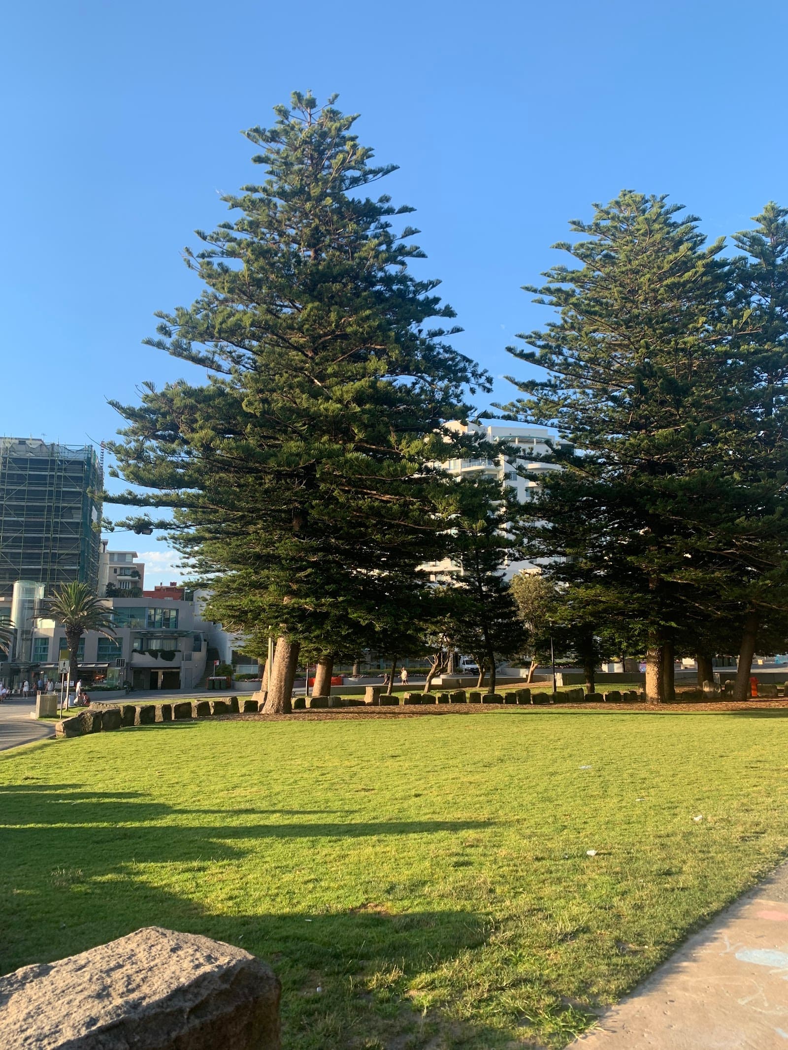Dunningham Park — Cronulla, Sydney