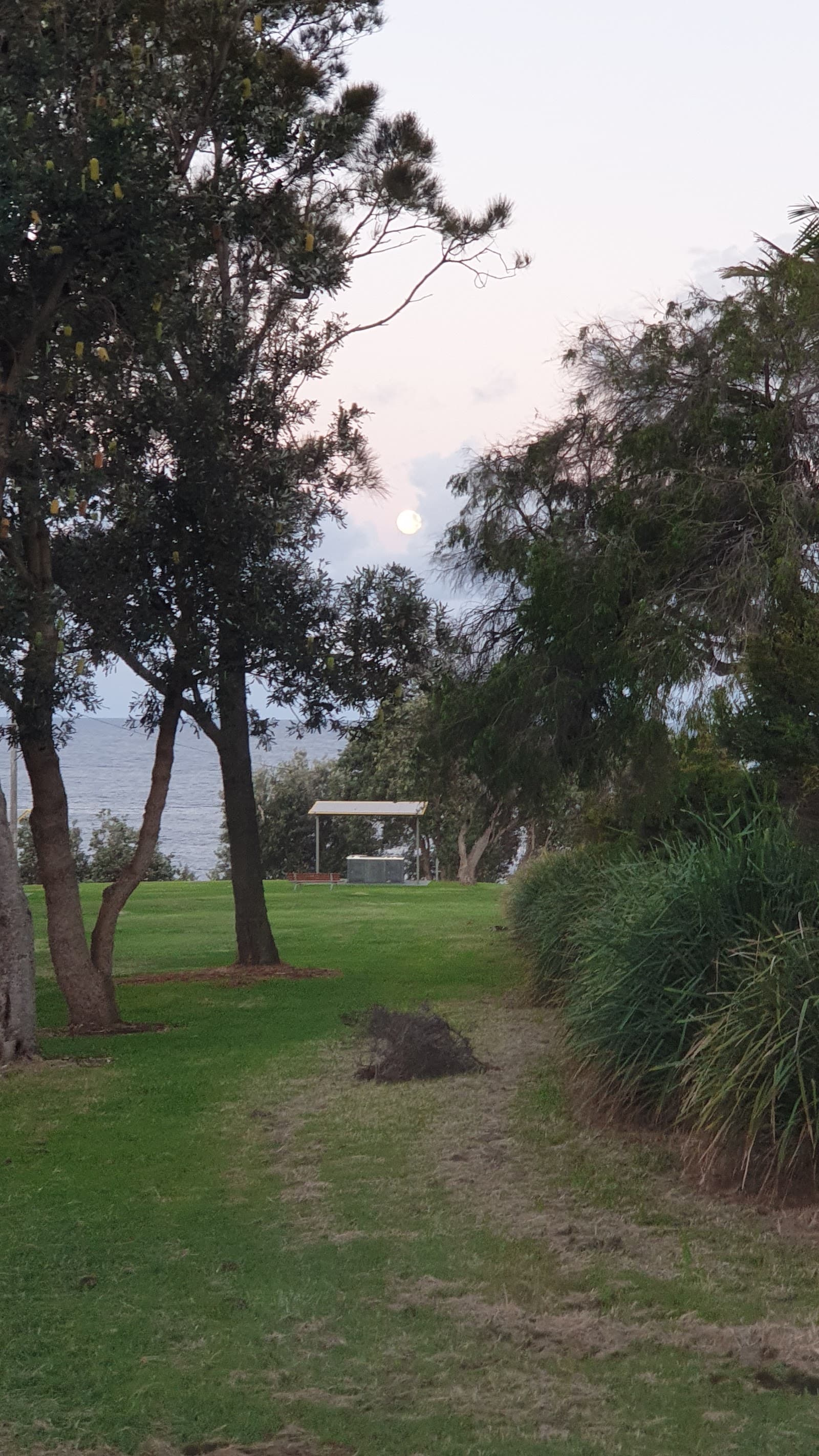 Oak Park Playground — Cronulla, Sydney
