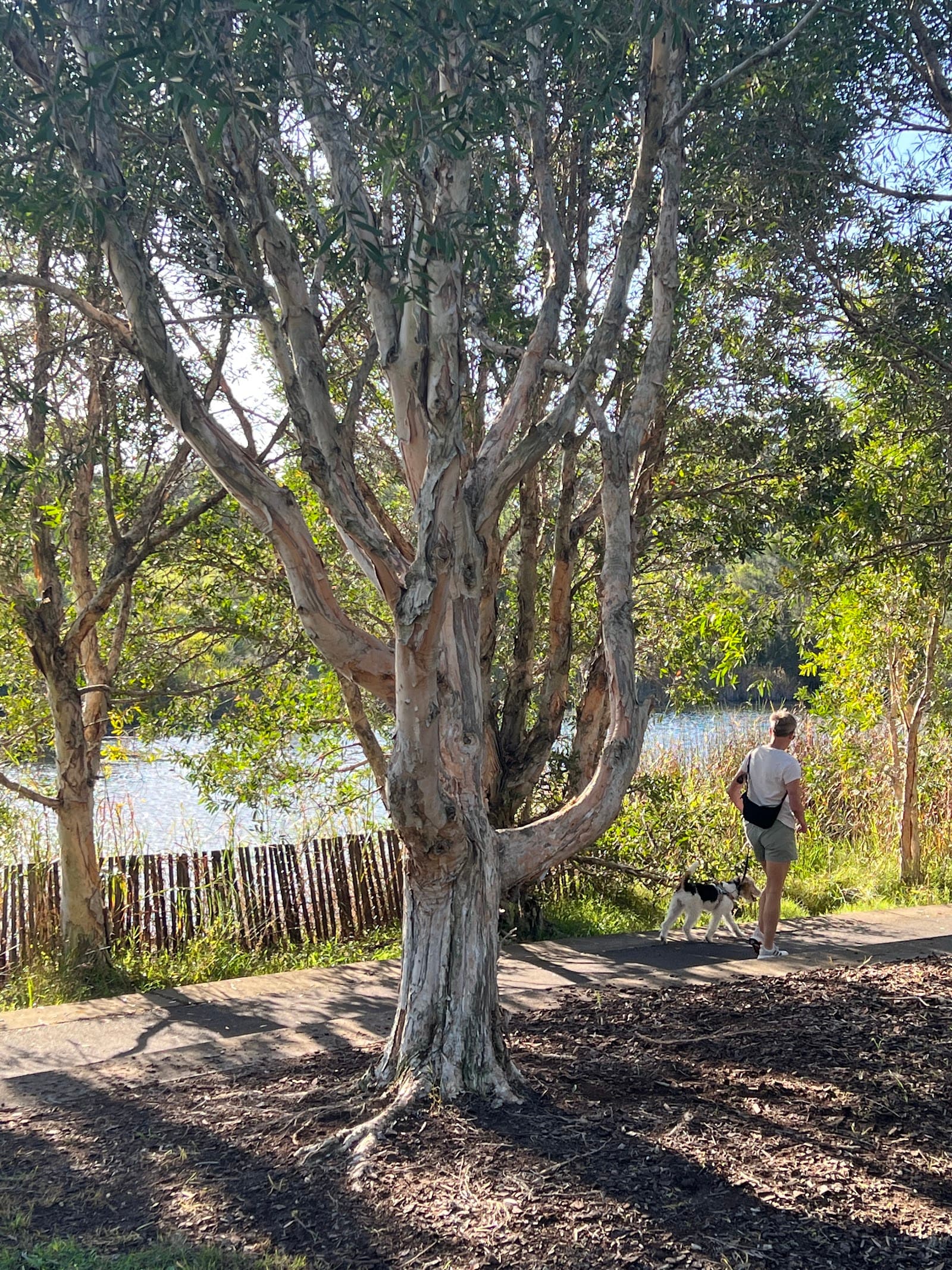 Sydney Park Picnic Tables — Alexandria, Sydney
