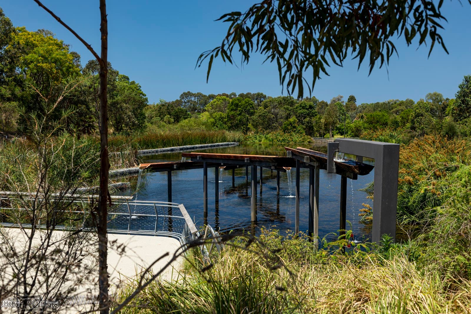 Sydney Park Wetlands — Alexandria, Sydney