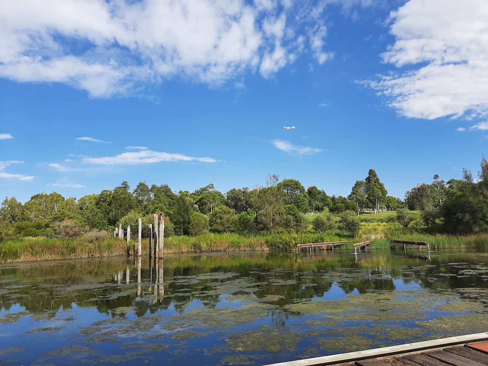 Sydney Park Wetlands — Alexandria, Sydney