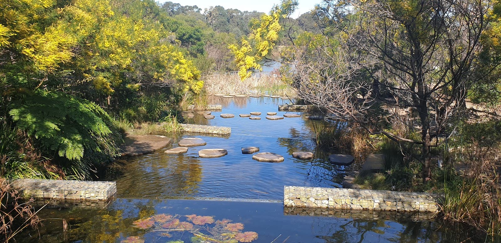 Sydney Park Wetlands — Alexandria, Sydney