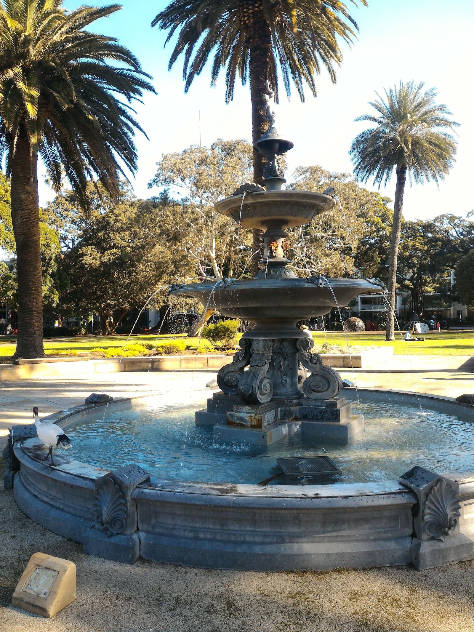 Redfern Park — Alexandria, Sydney