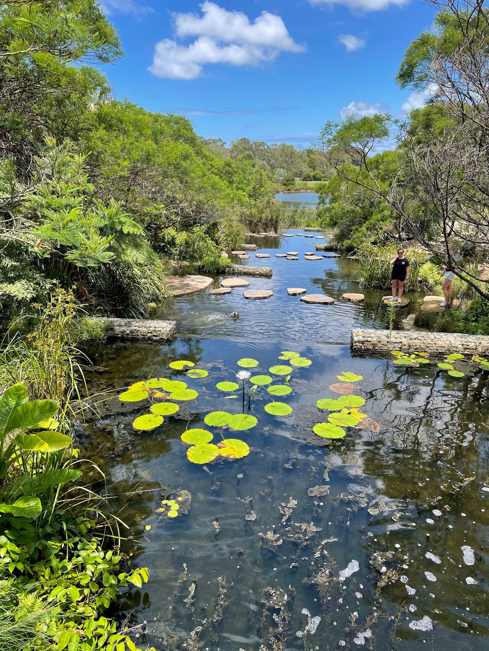 Stepping Stones — Alexandria, Sydney