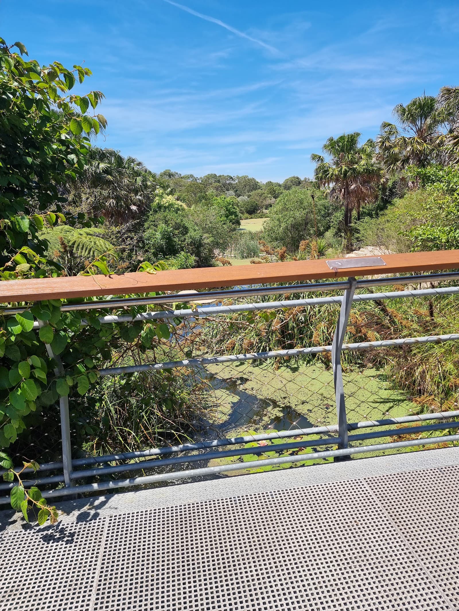 Stepping Stones — Alexandria, Sydney