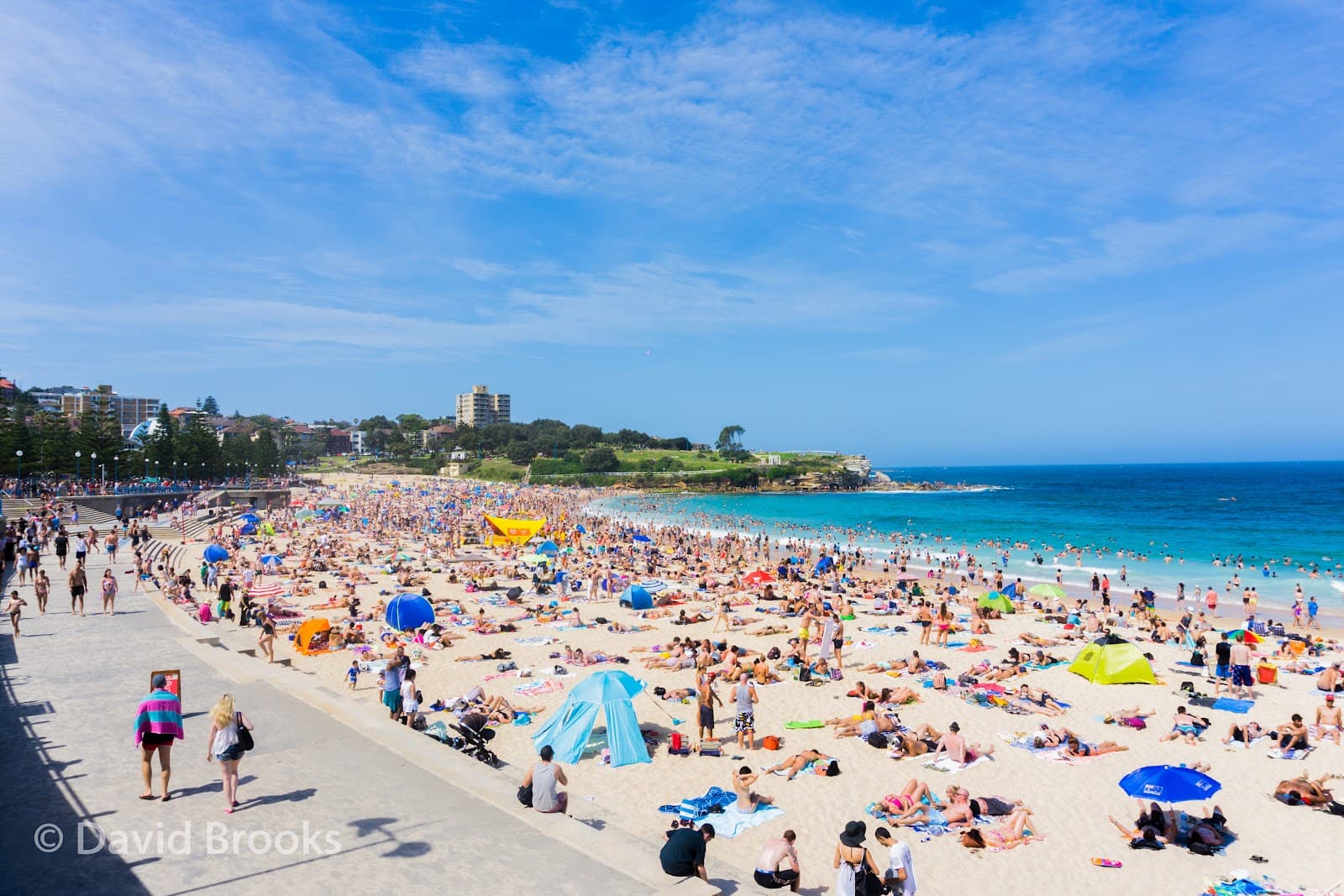 Coogee Beach — Coogee, Sydney