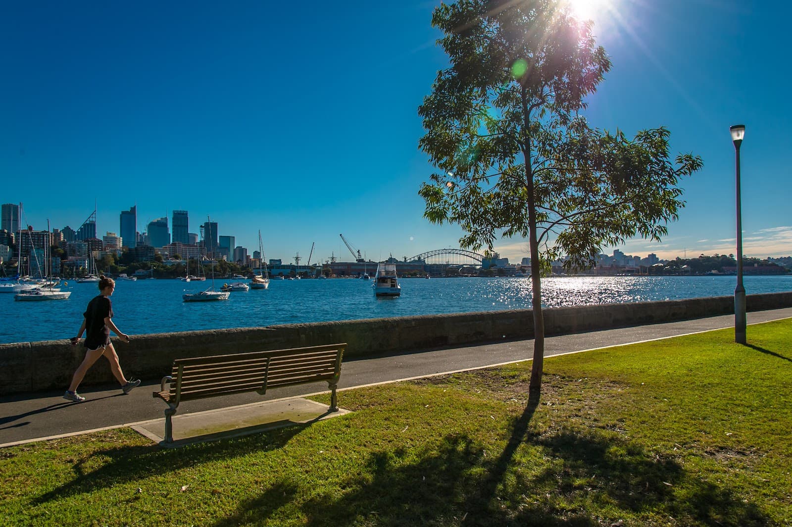 Yarranabbe Park — Paddington, Sydney
