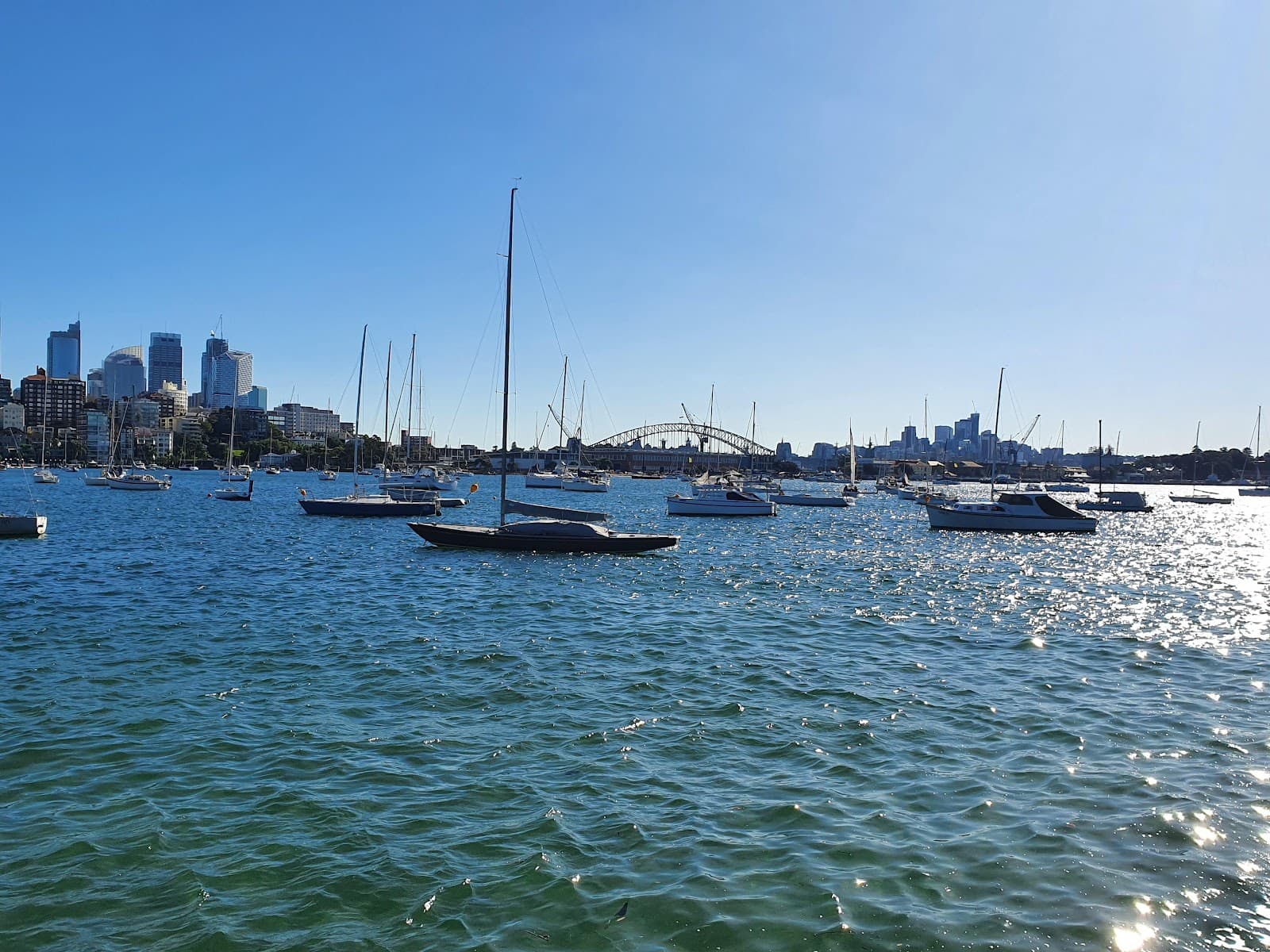 Yarranabbe Park — Paddington, Sydney