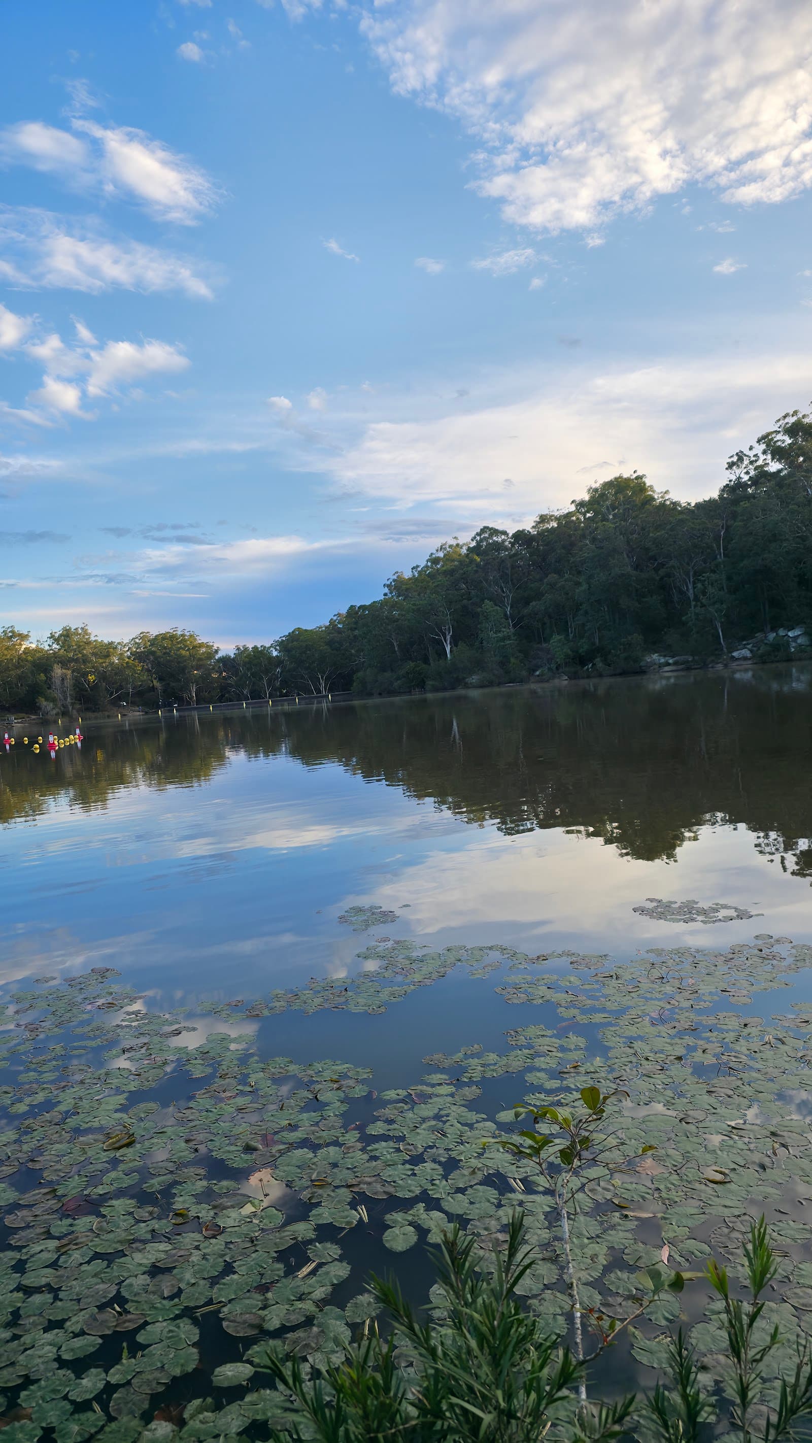 Lake Parramatta Swimming Area — Parramatta, Sydney