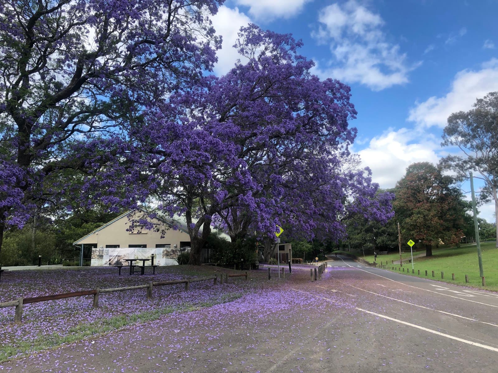 Little Coogee — Parramatta, Sydney