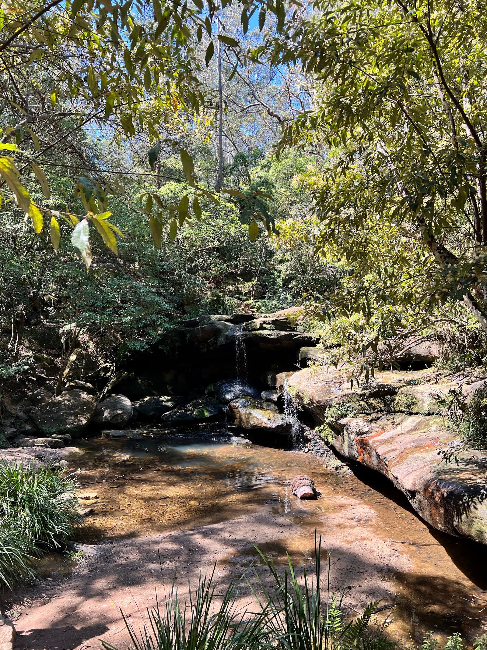 Balaka Falls — Parramatta, Sydney