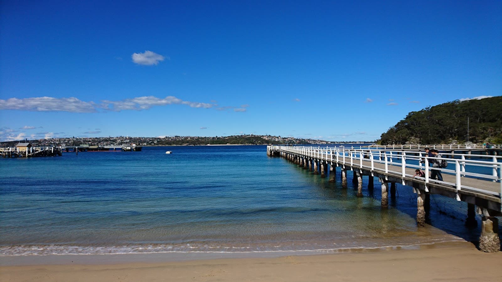 Bradleys Head to Chowder Bay walk — Alexandria, Sydney