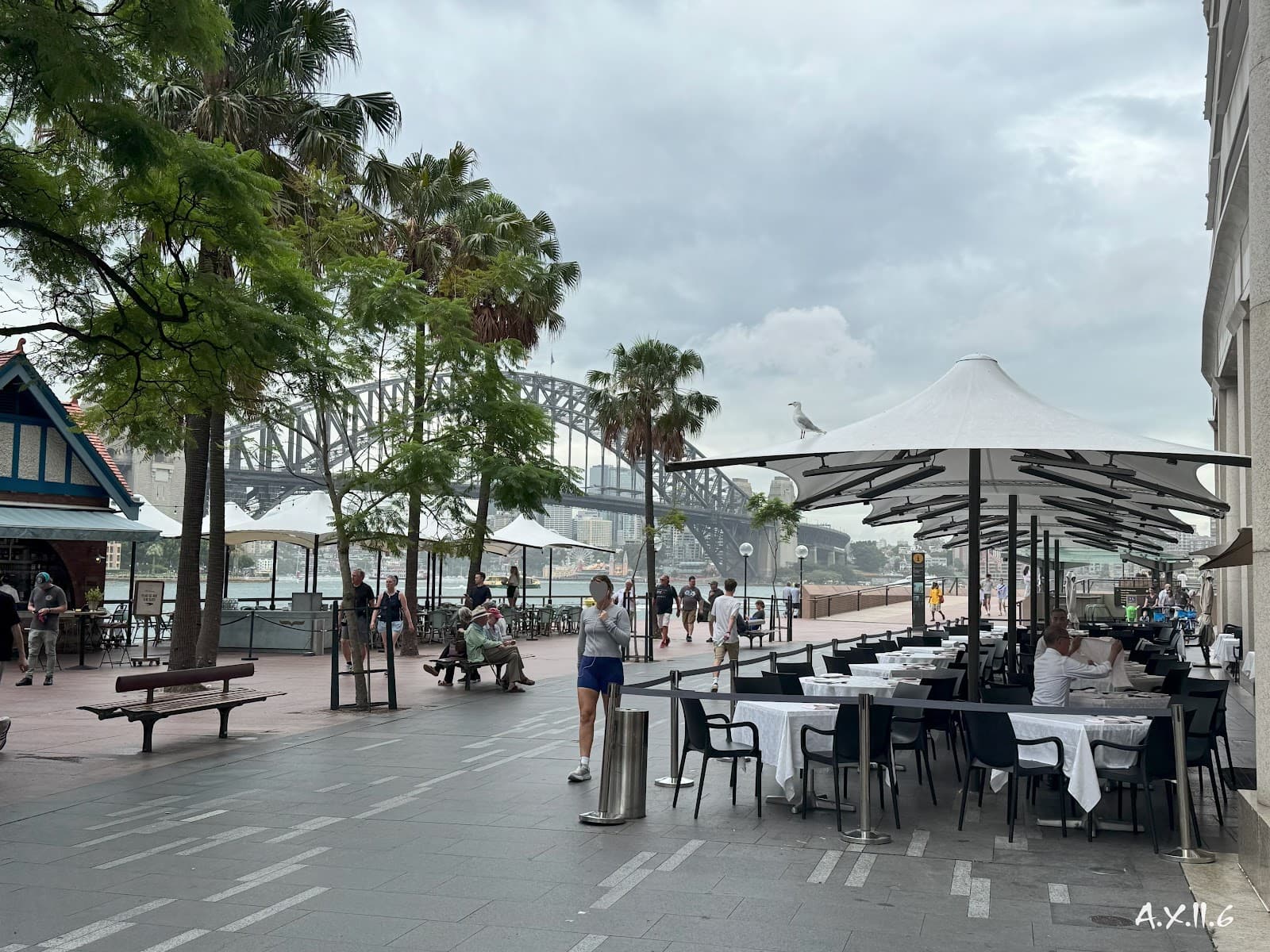 Writers Walk — The Rocks, Sydney