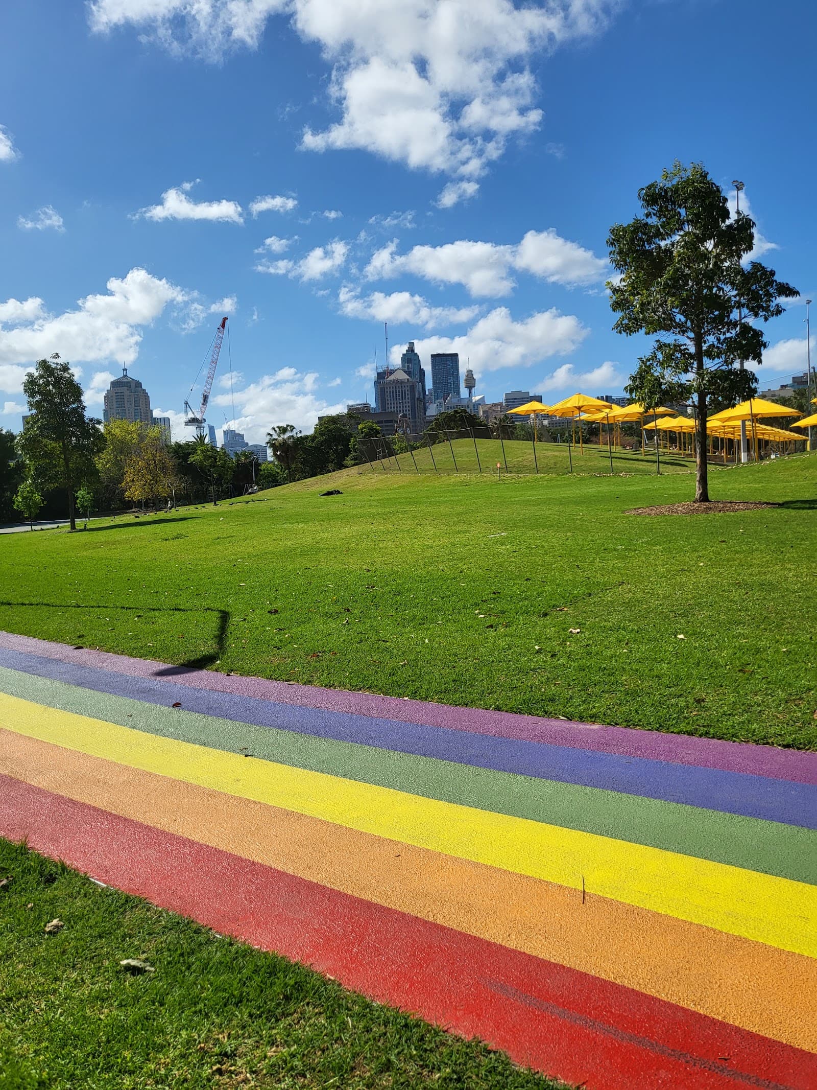 Equality Green — Surry Hills, Sydney