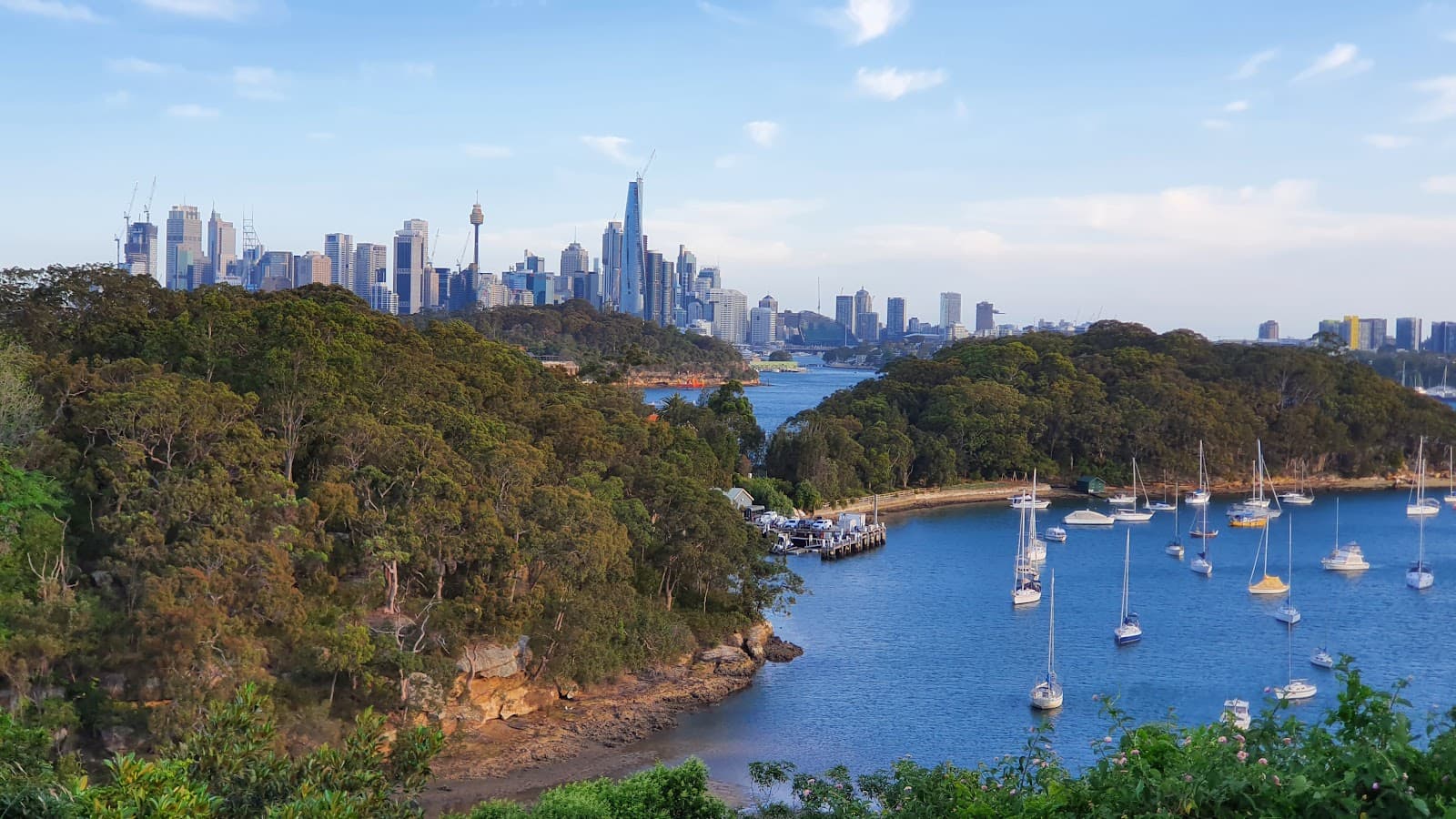 Gore Cove Reserve — Chatswood, Sydney