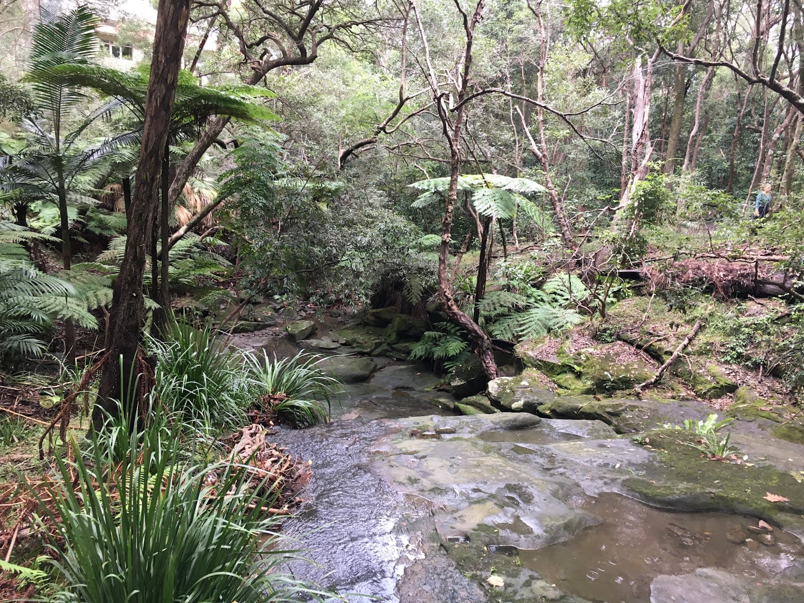 Gore Cove Reserve — Chatswood, Sydney