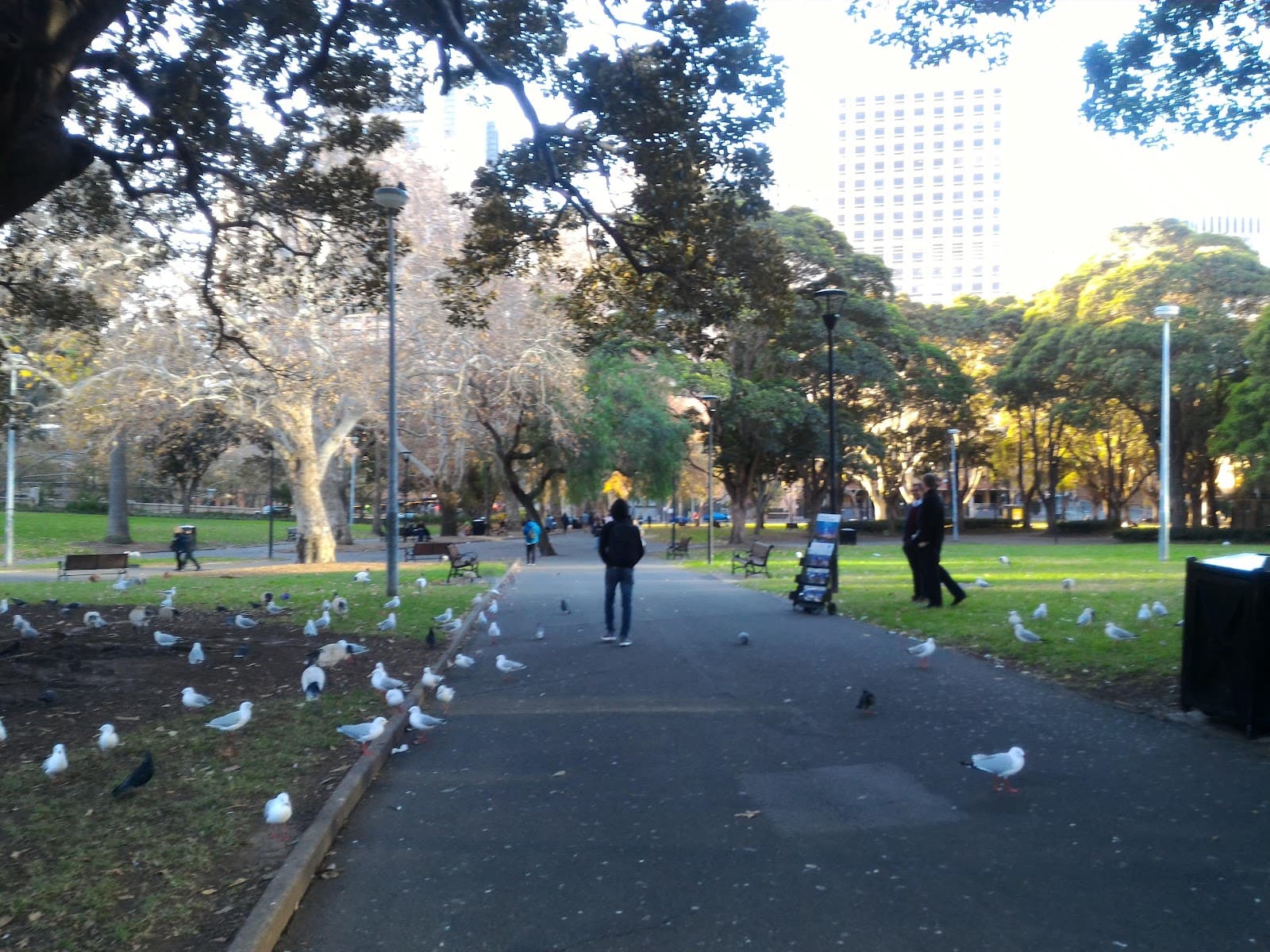 Belmore Park — Surry Hills, Sydney