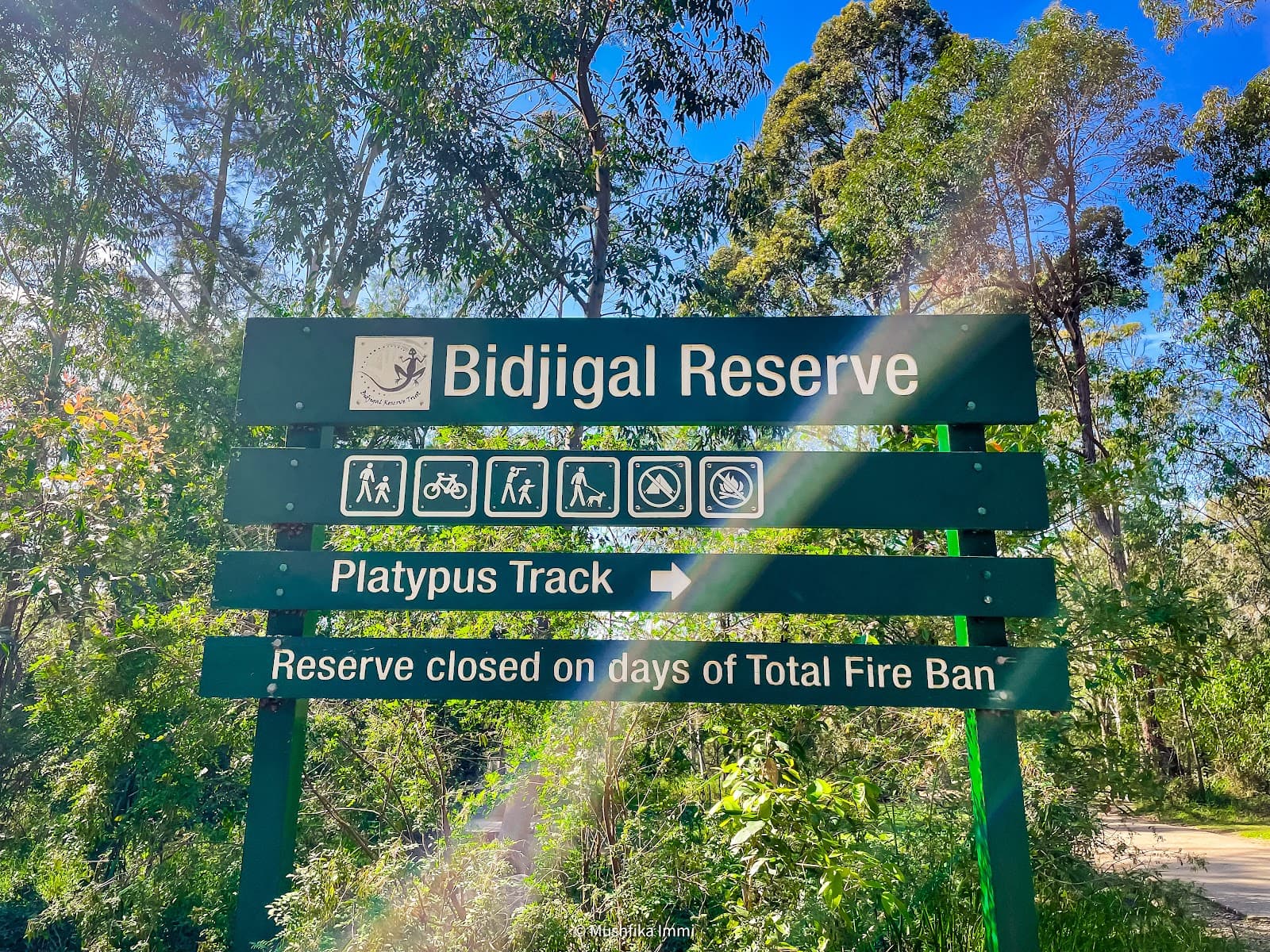 Bidjigal Reserve - Platypus Track — Surry Hills, Sydney