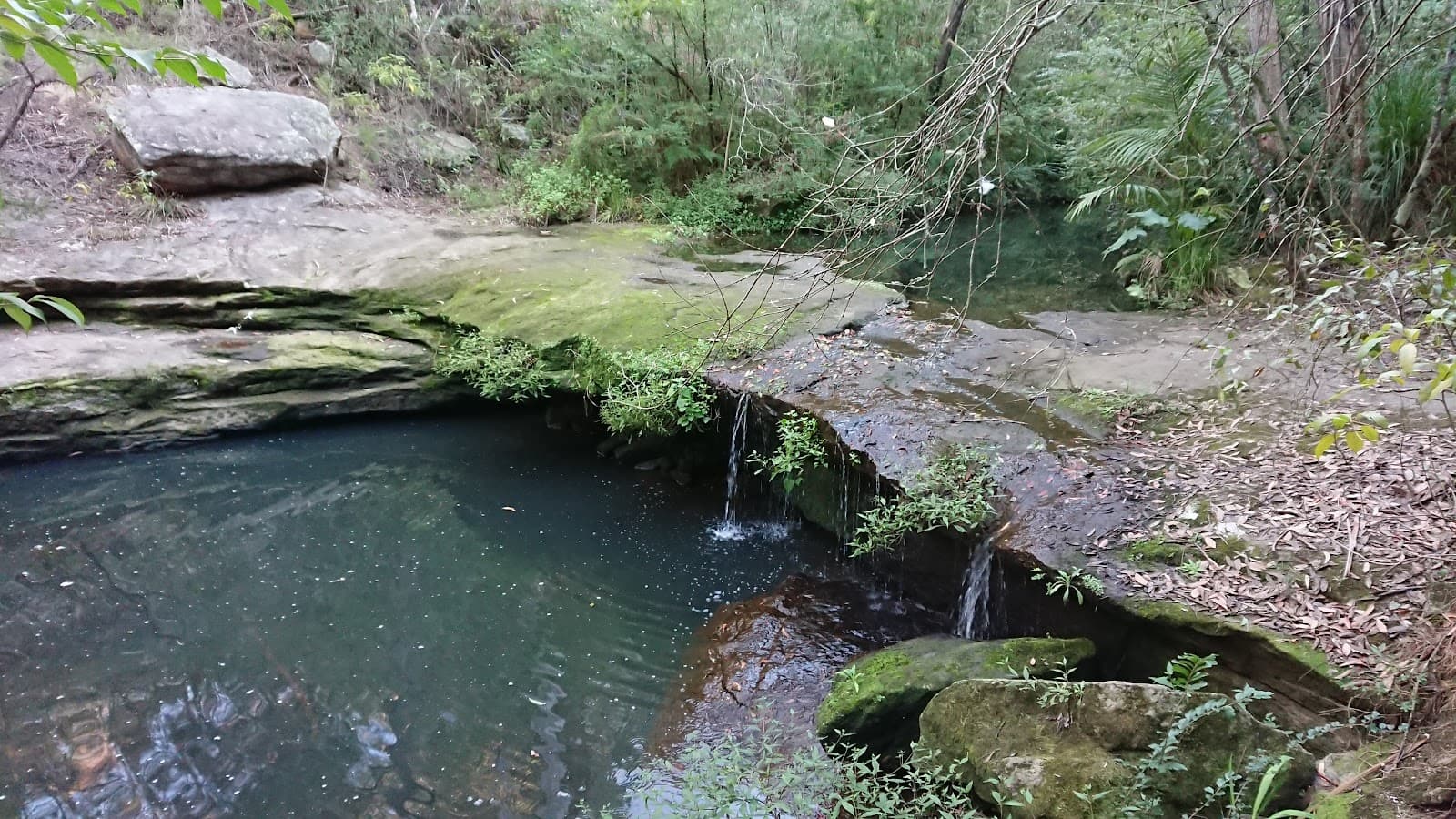 Bidjigal Reserve - Platypus Track — Surry Hills, Sydney