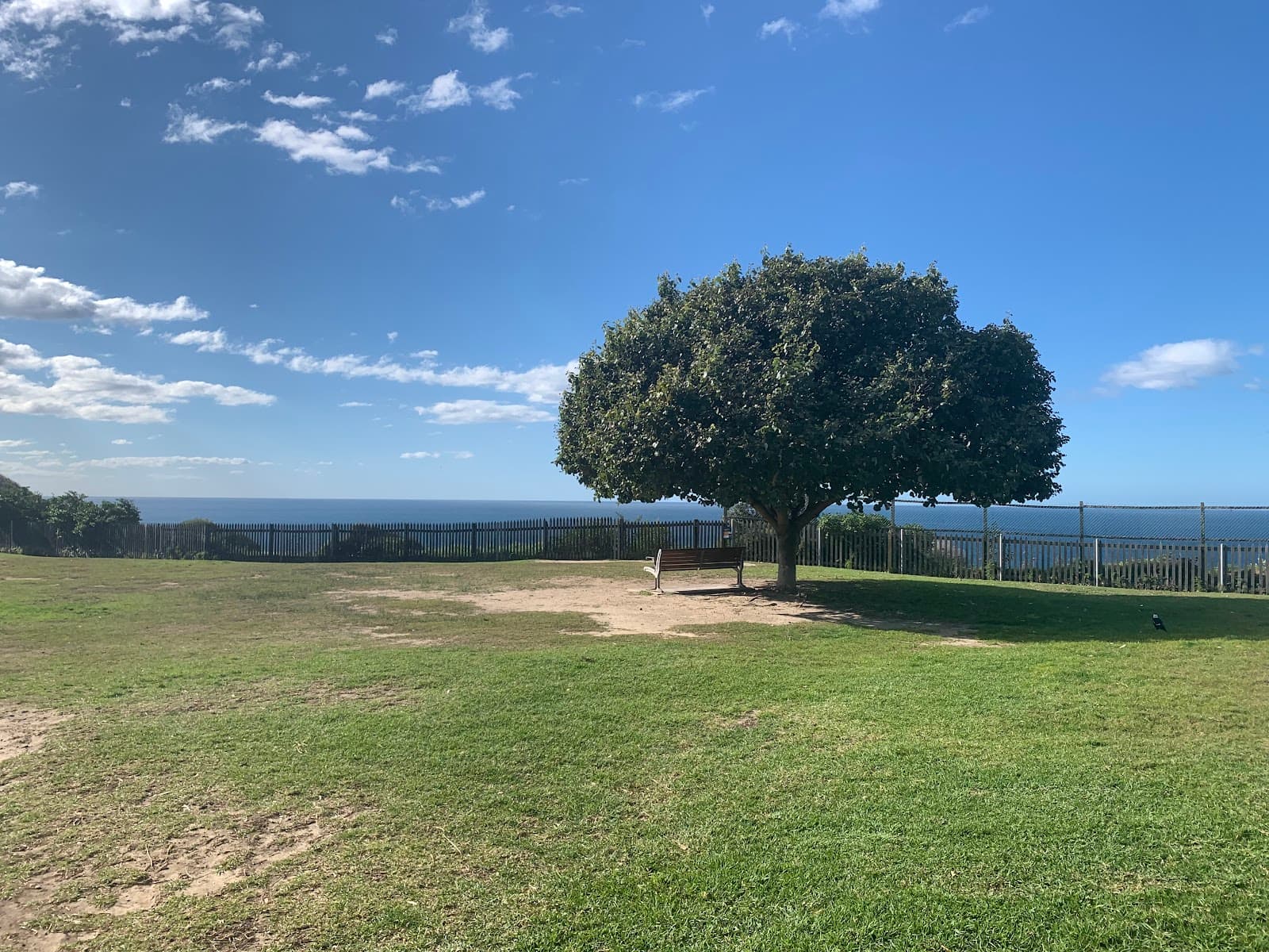 Raleigh Reserve — Bondi, Sydney