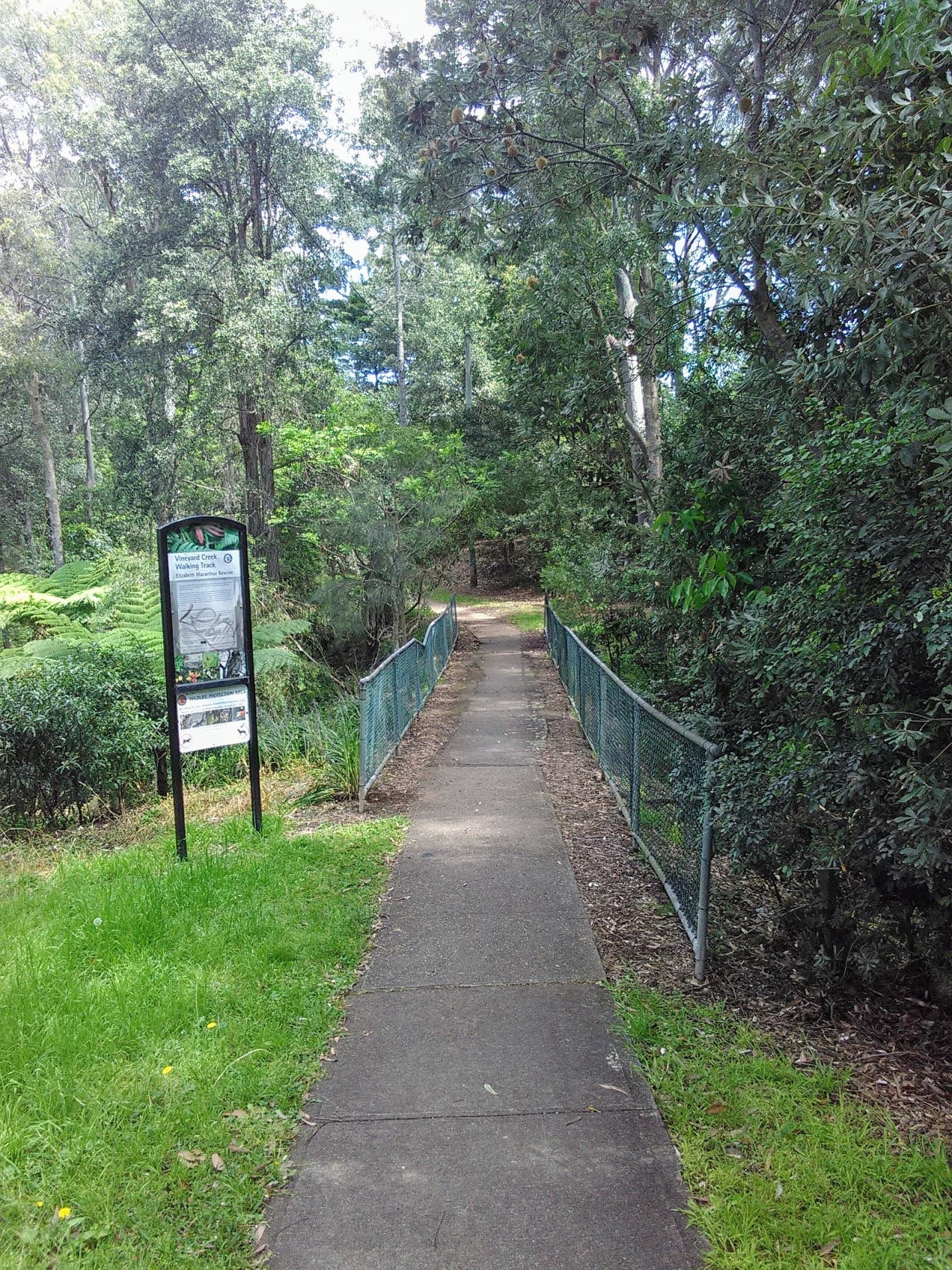 Vineyard Creek Reserve — Parramatta, Sydney