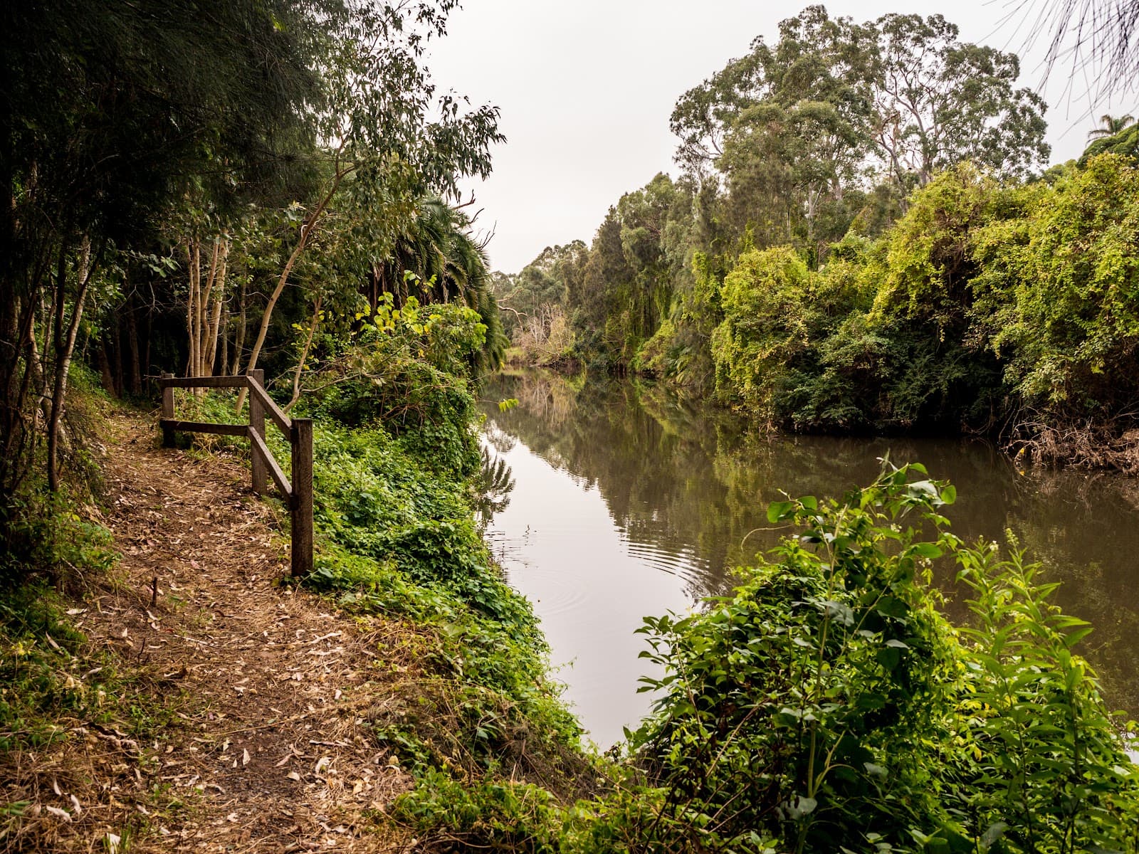 Governor Phillip Walk — Parramatta, Sydney