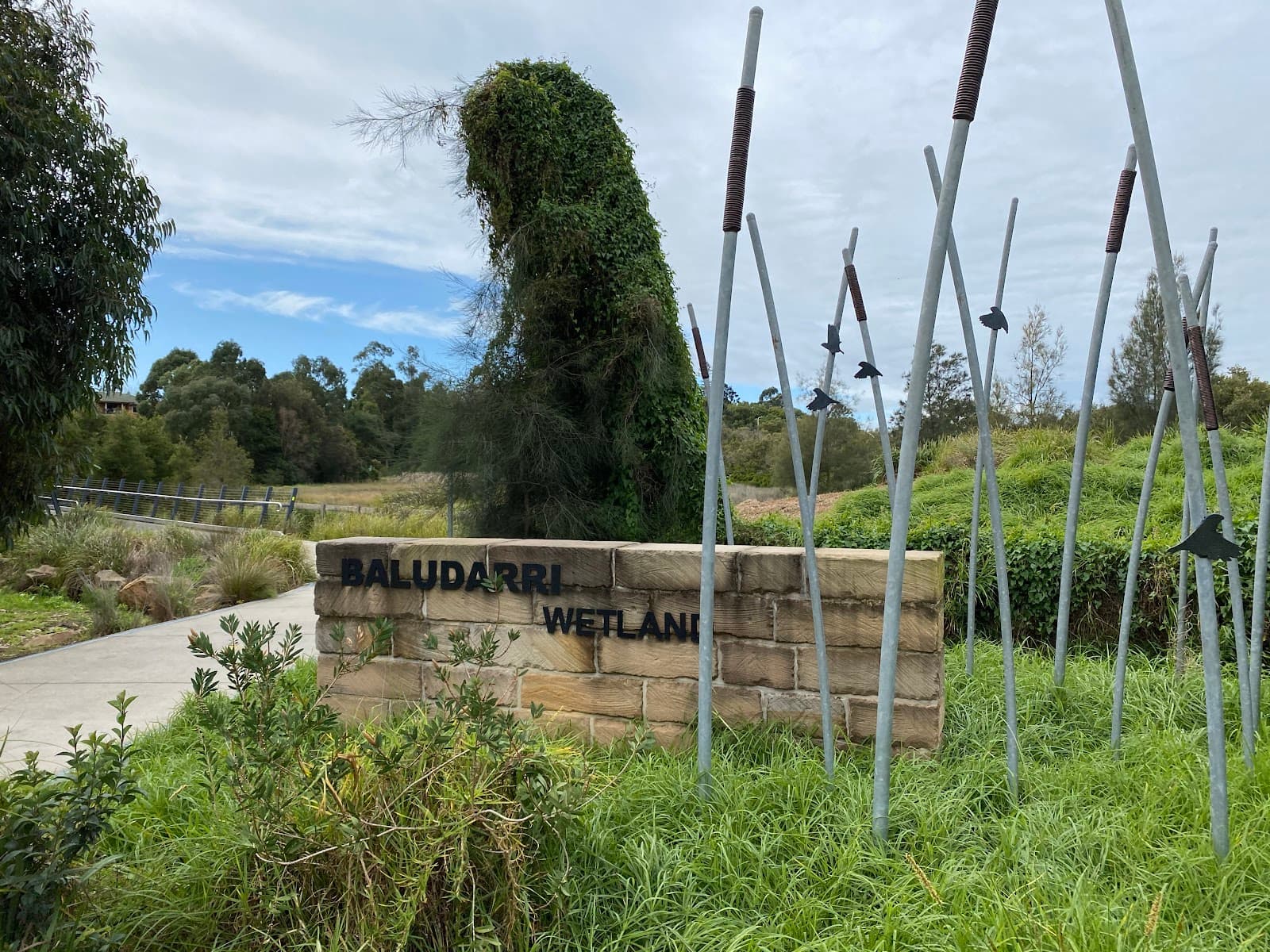 Baludarri Wetland — Parramatta, Sydney