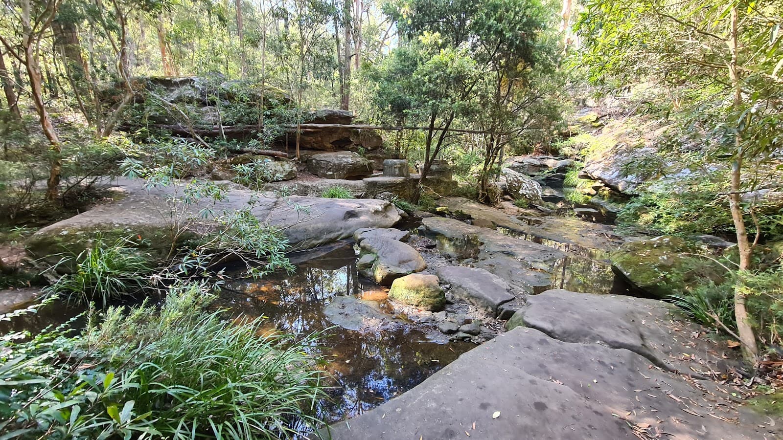 Bidjigal Reserve — Parramatta, Sydney