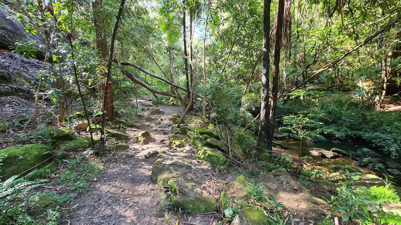 Bidjigal Reserve — Parramatta, Sydney