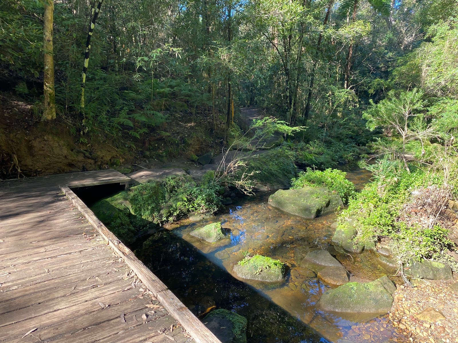 Bidjigal Reserve — Parramatta, Sydney