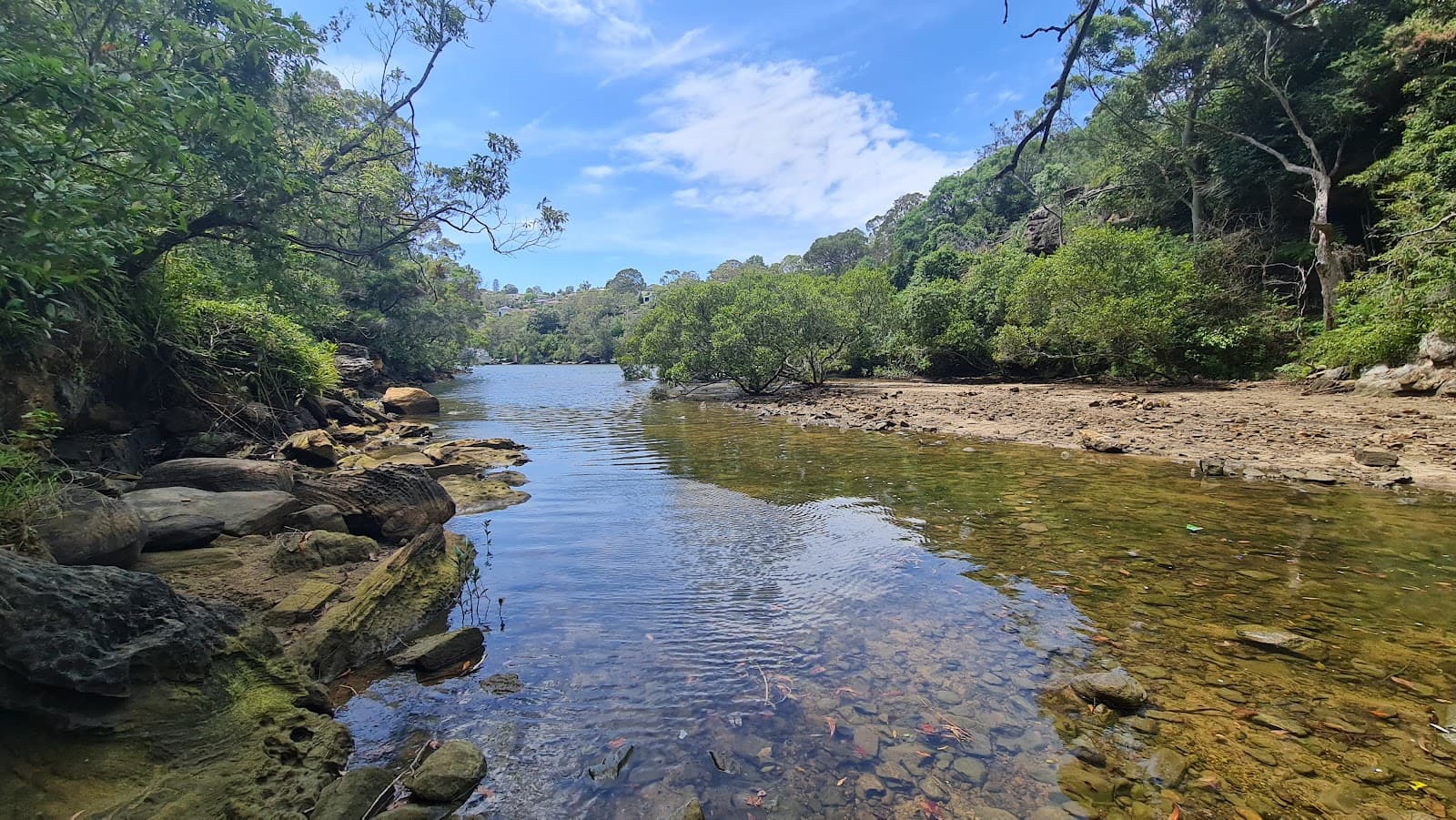 Sailors Bay Walking Track — Chatswood, Sydney
