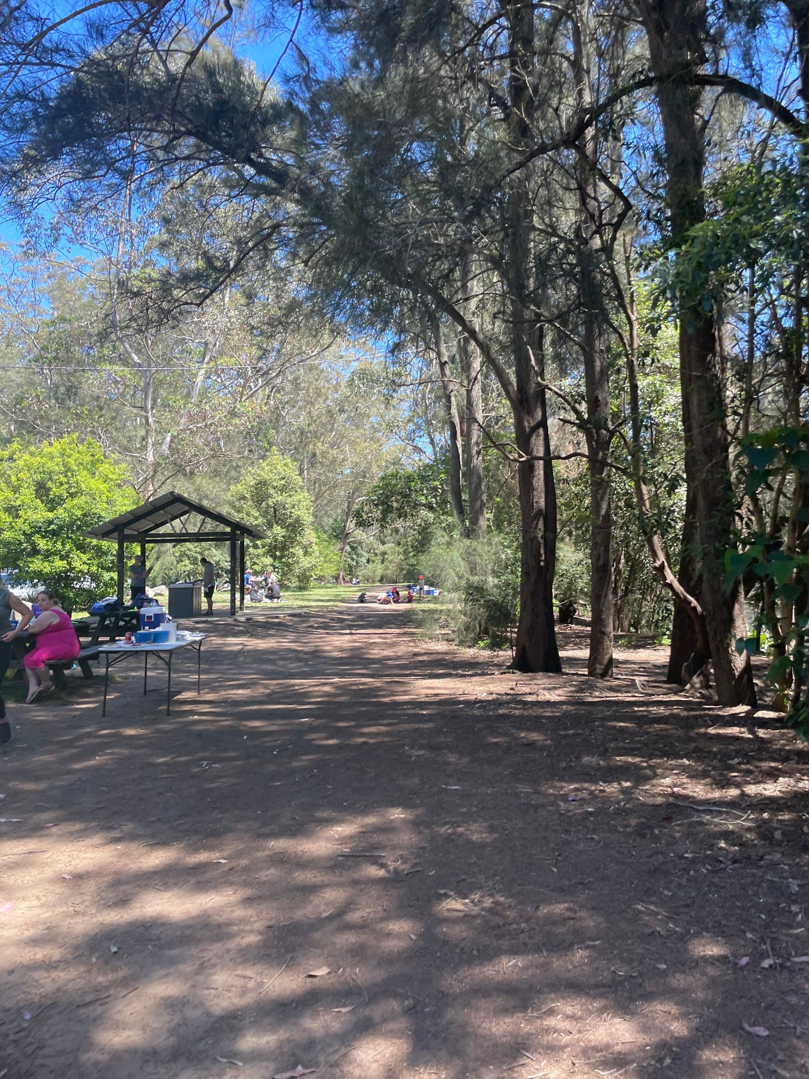 Sailors Bay Walking Track — Chatswood, Sydney