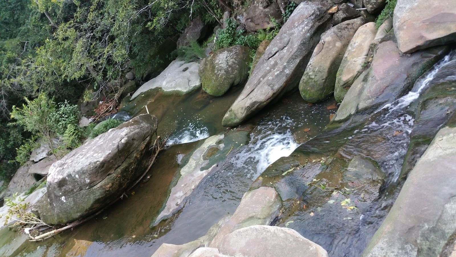 Wilksch Walk — Chatswood, Sydney