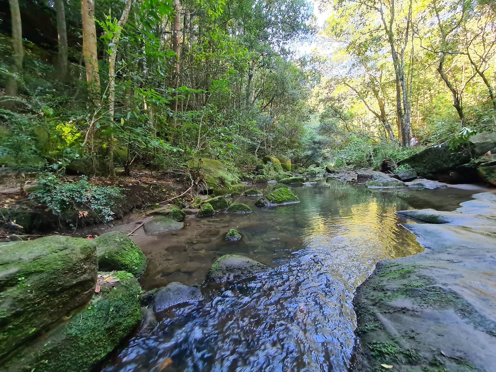 Wilksch Walk — Chatswood, Sydney