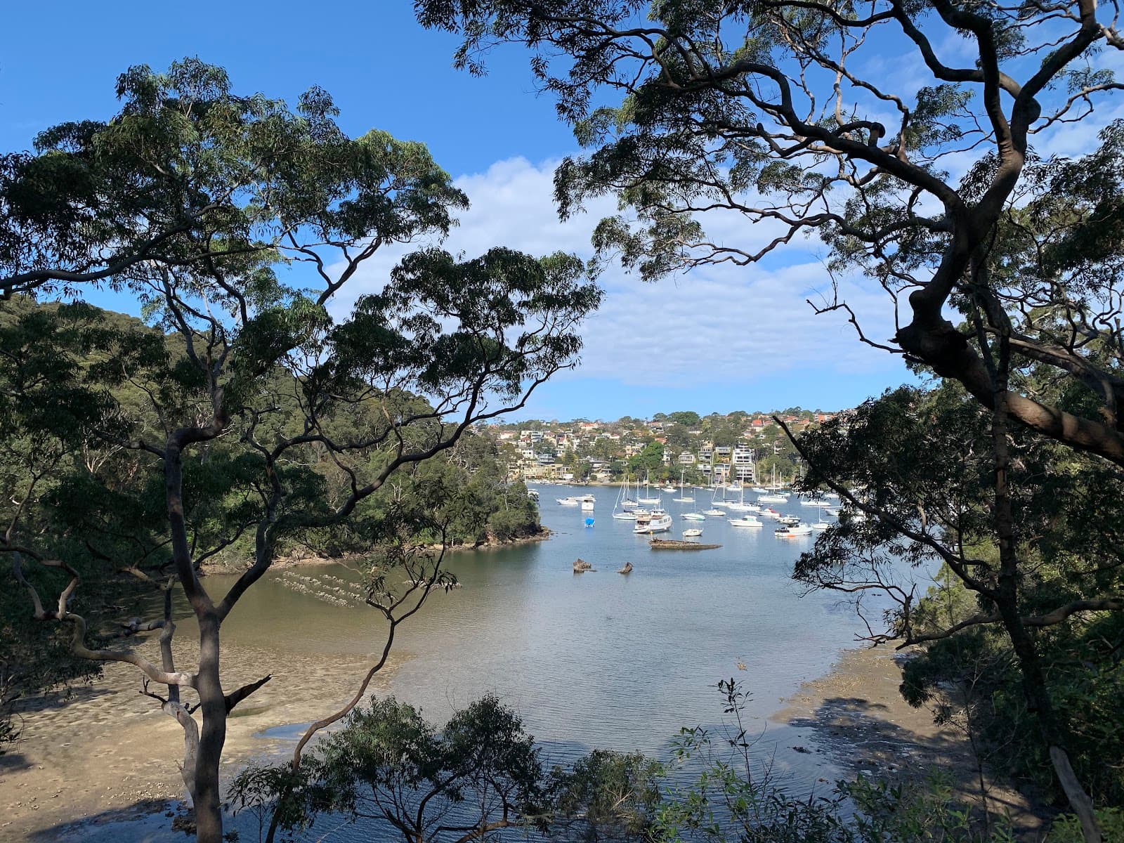Flat Rock Gully Walking Track — Chatswood, Sydney
