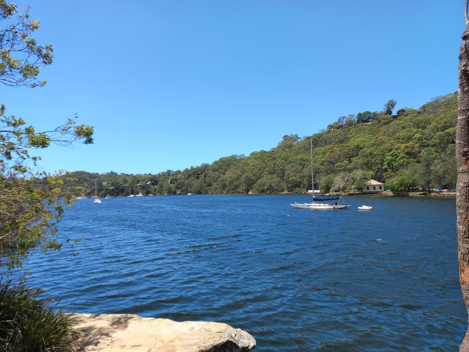 Harold Reid Reserve — Chatswood, Sydney